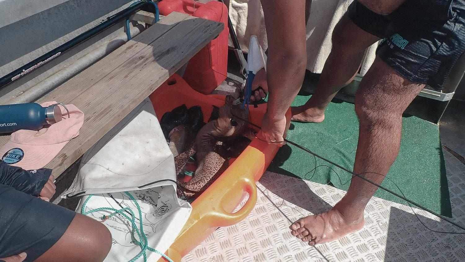 TrejoRaquel_Coral Kids_Marine Conservation_Oceania-22.jpg