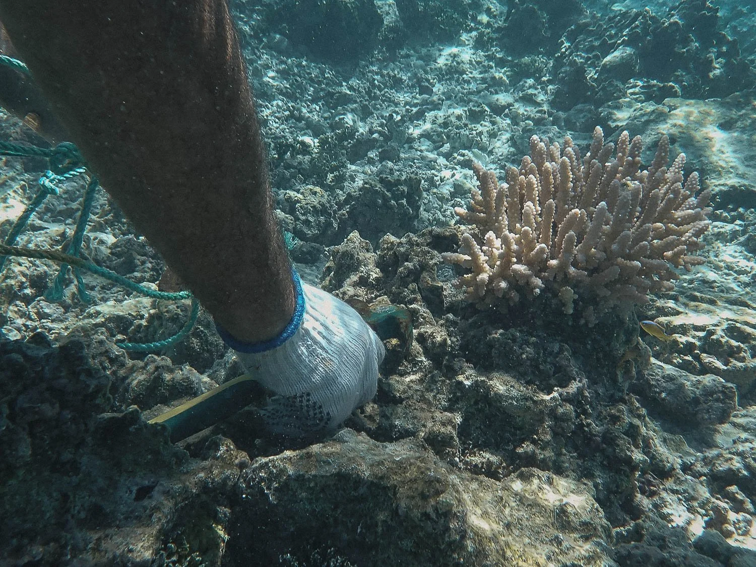 TrejoRaquel_Coral Kids_Marine Conservation_Oceania-19.jpg