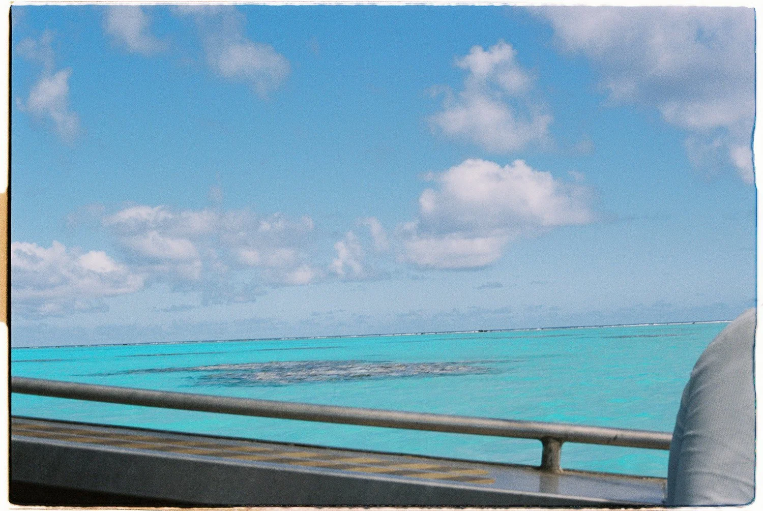 TrejoRaquel_Coral Kids_Marine Conservation_Oceania-14-2.jpg