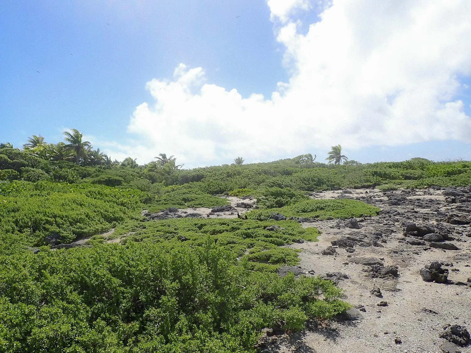 TrejoRaquel_Coral Kids_Marine Conservation_Oceania-115.jpg