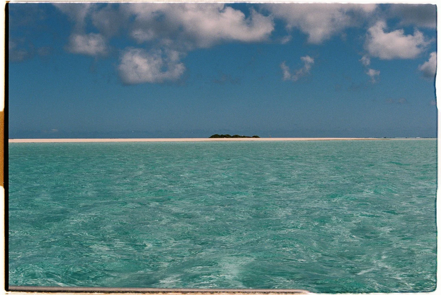 TrejoRaquel_Coral Kids_Marine Conservation_Oceania-27-2.jpg