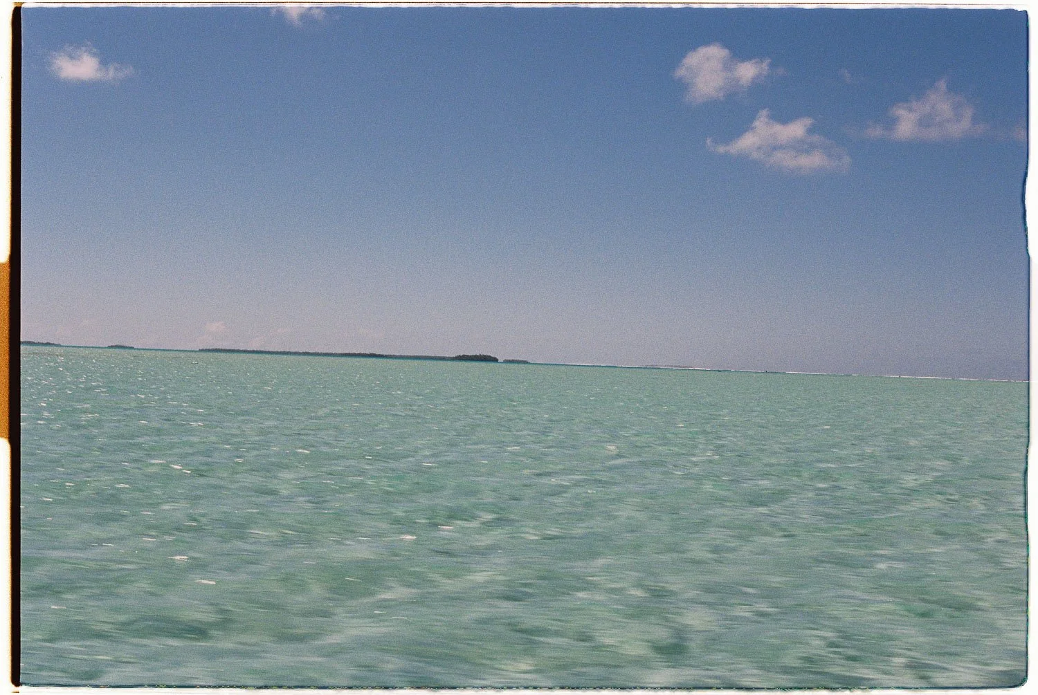 TrejoRaquel_Coral Kids_Marine Conservation_Oceania-18-2.jpg