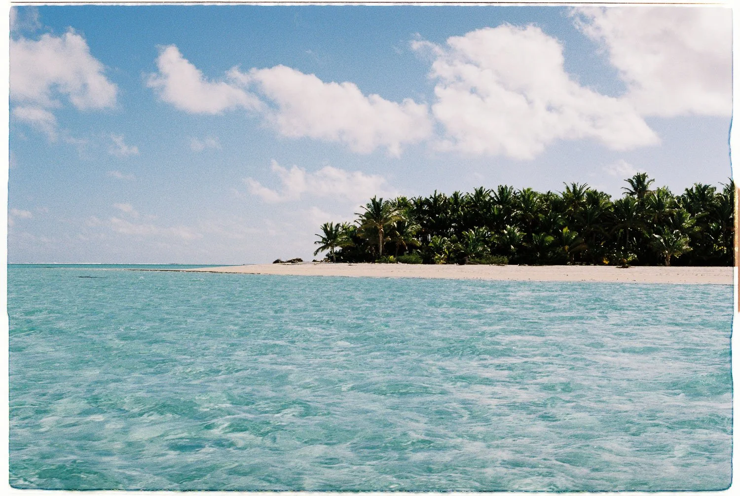 TrejoRaquel_Coral Kids_Marine Conservation_Oceania-31.jpg