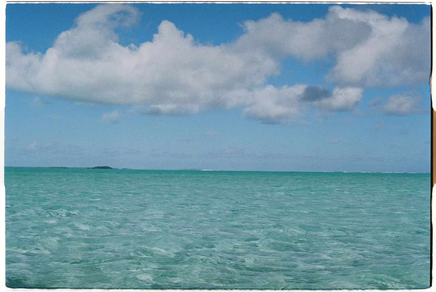 TrejoRaquel_Coral Kids_Marine Conservation_Oceania-28.jpg