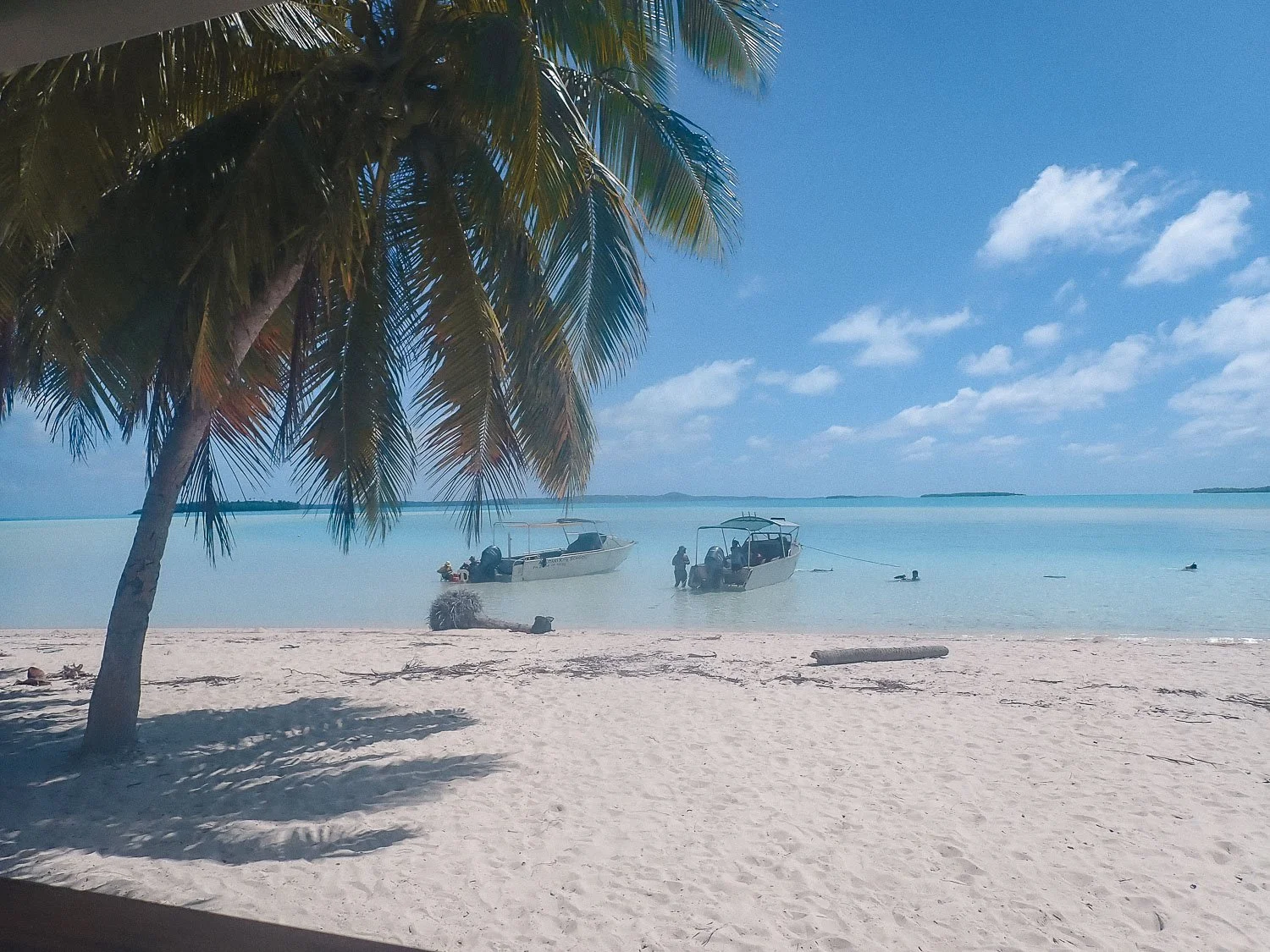 TrejoRaquel_Coral Kids_Marine Conservation_Oceania-28.jpg