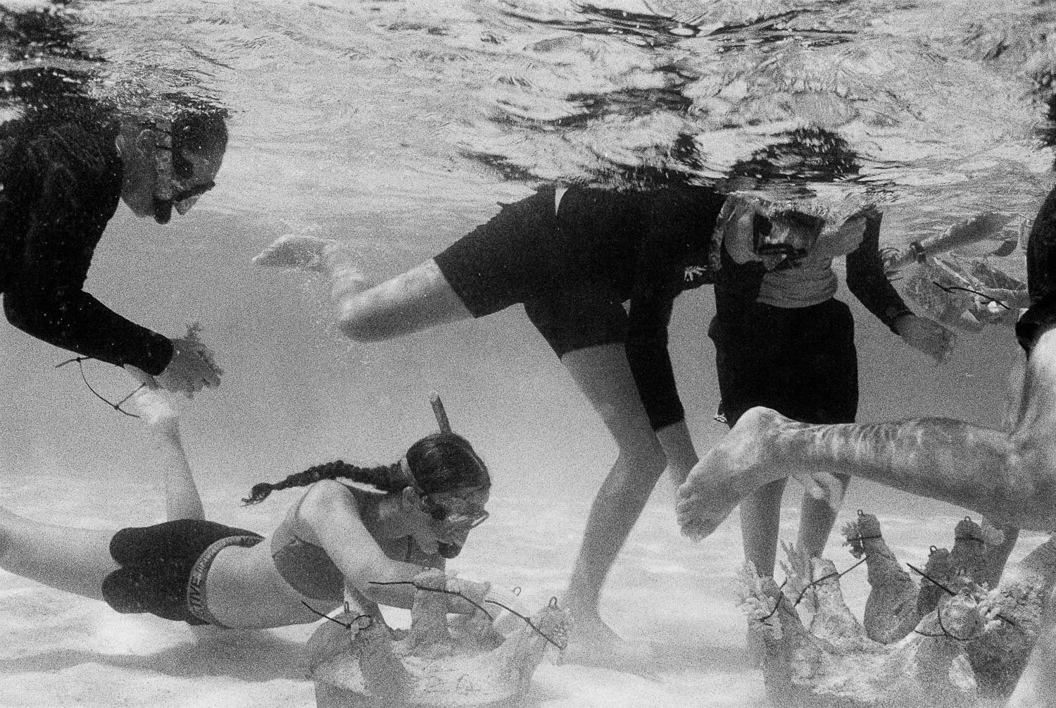 TrejoRaquel_Coral Kids_Marine Conservation_Oceania-6-3.jpg