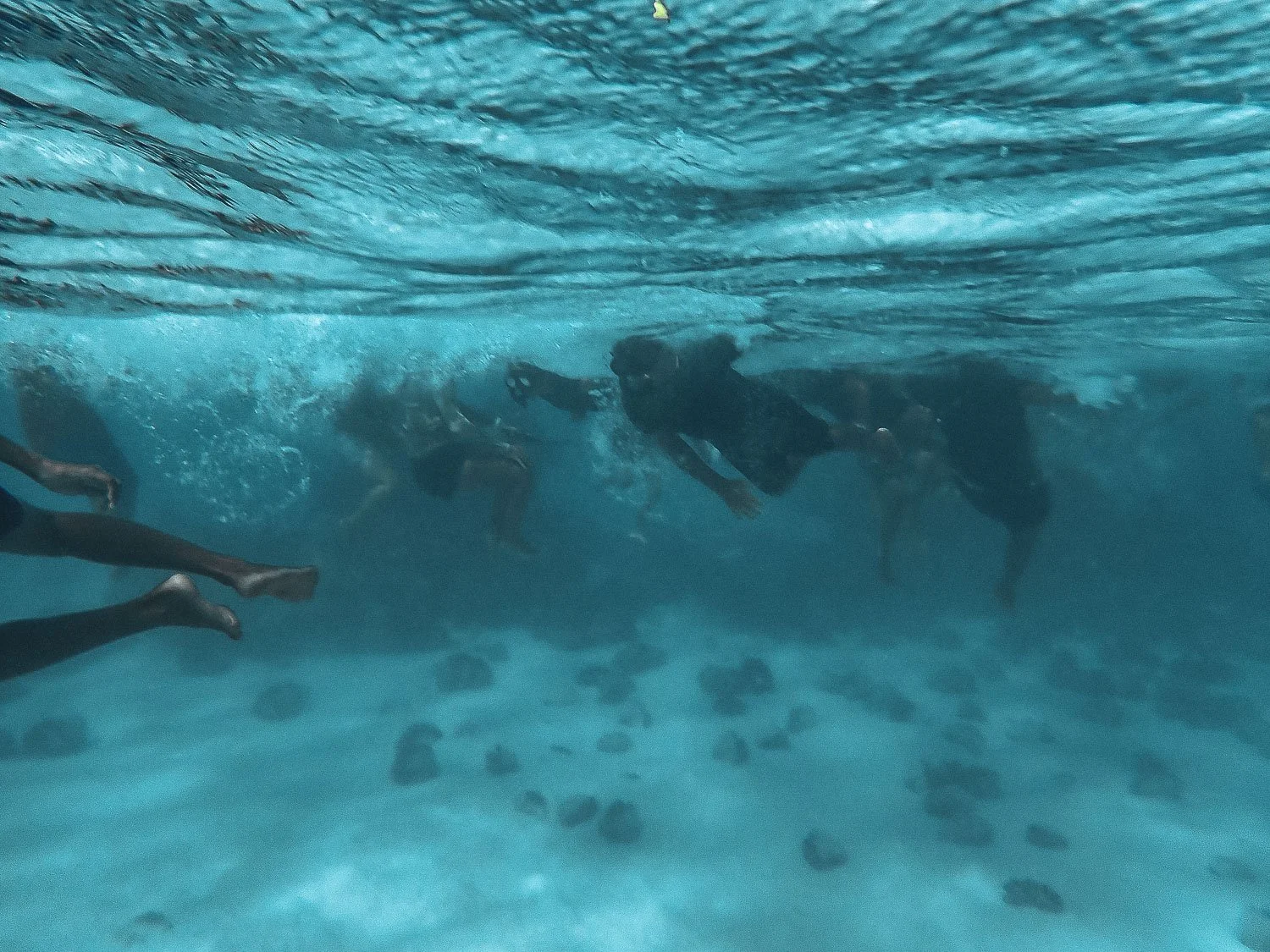 TrejoRaquel_Coral Kids_Marine Conservation_Oceania-93.jpg