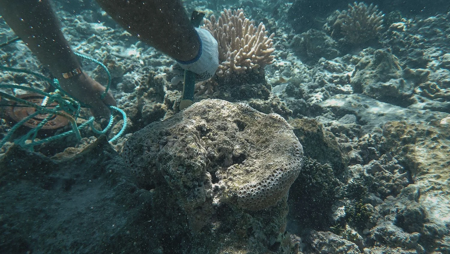 TrejoRaquel_Coral Kids_Marine Conservation_Oceania-18.jpg