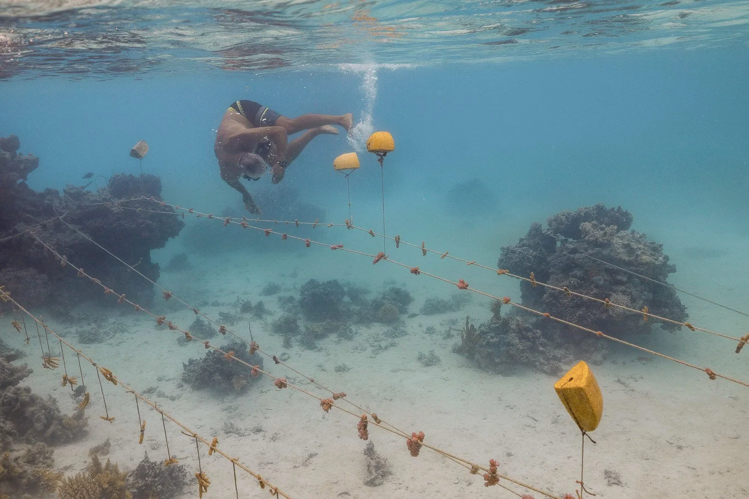 TrejoRaquel_Coral Kids_Marine Conservation_Oceania-3-2.jpg