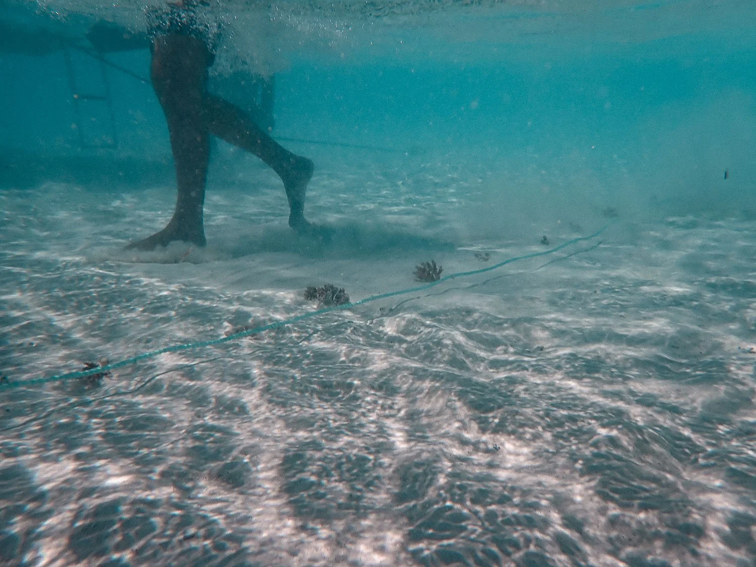 TrejoRaquel_Coral Kids_Marine Conservation_Oceania-56.jpg
