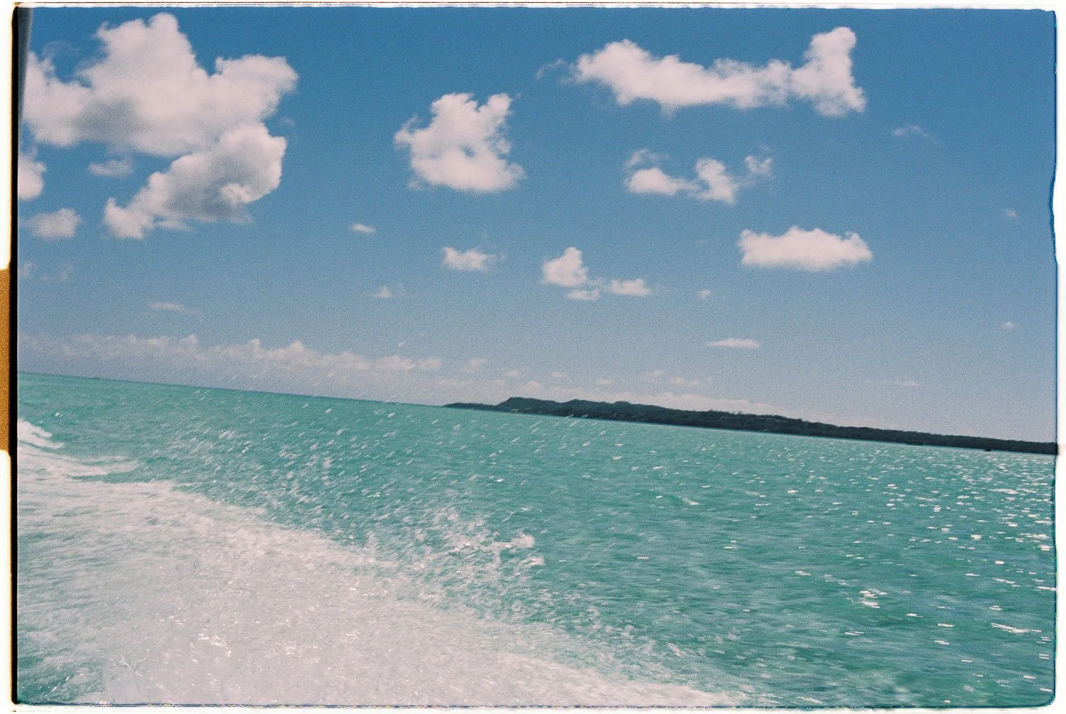 TrejoRaquel_Coral Kids_Marine Conservation_Oceania-19-2.jpg