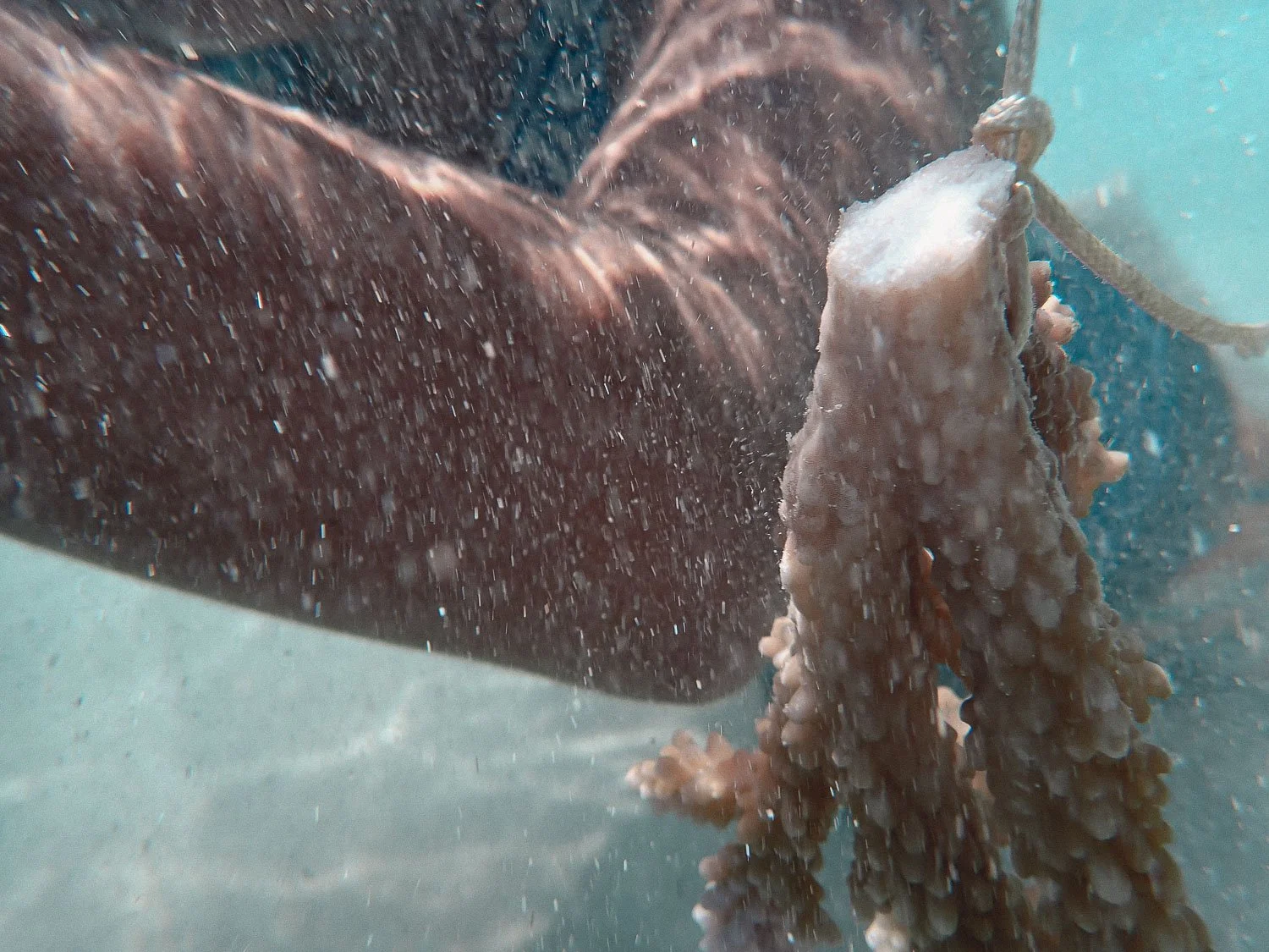 TrejoRaquel_Coral Kids_Marine Conservation_Oceania-52.jpg