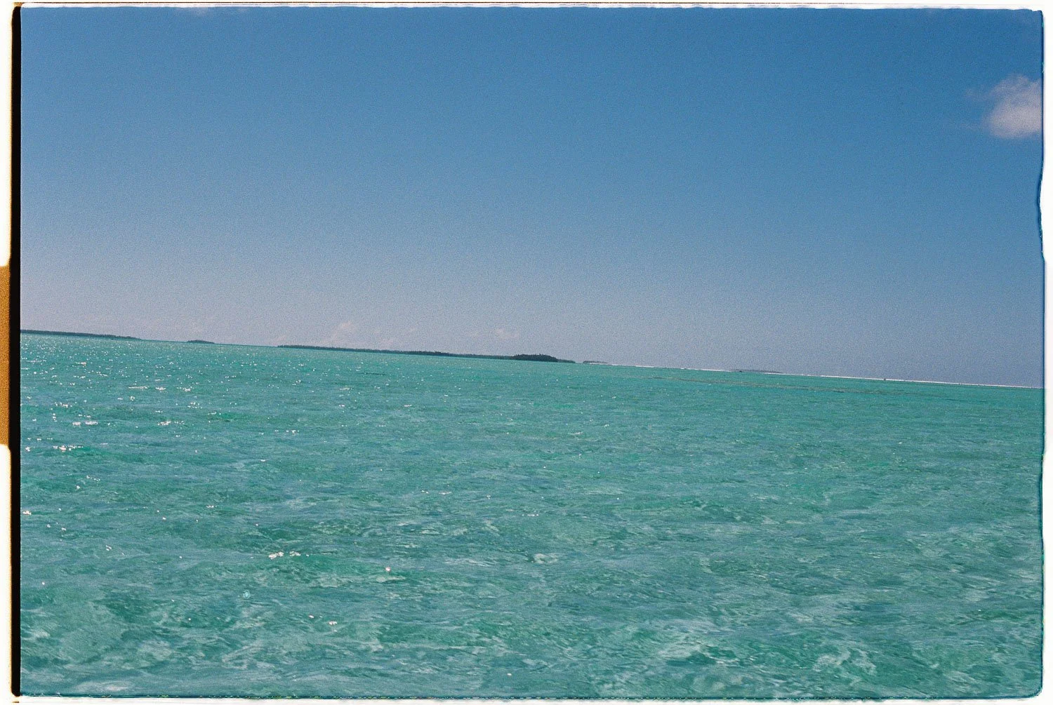TrejoRaquel_Coral Kids_Marine Conservation_Oceania-28-2.jpg