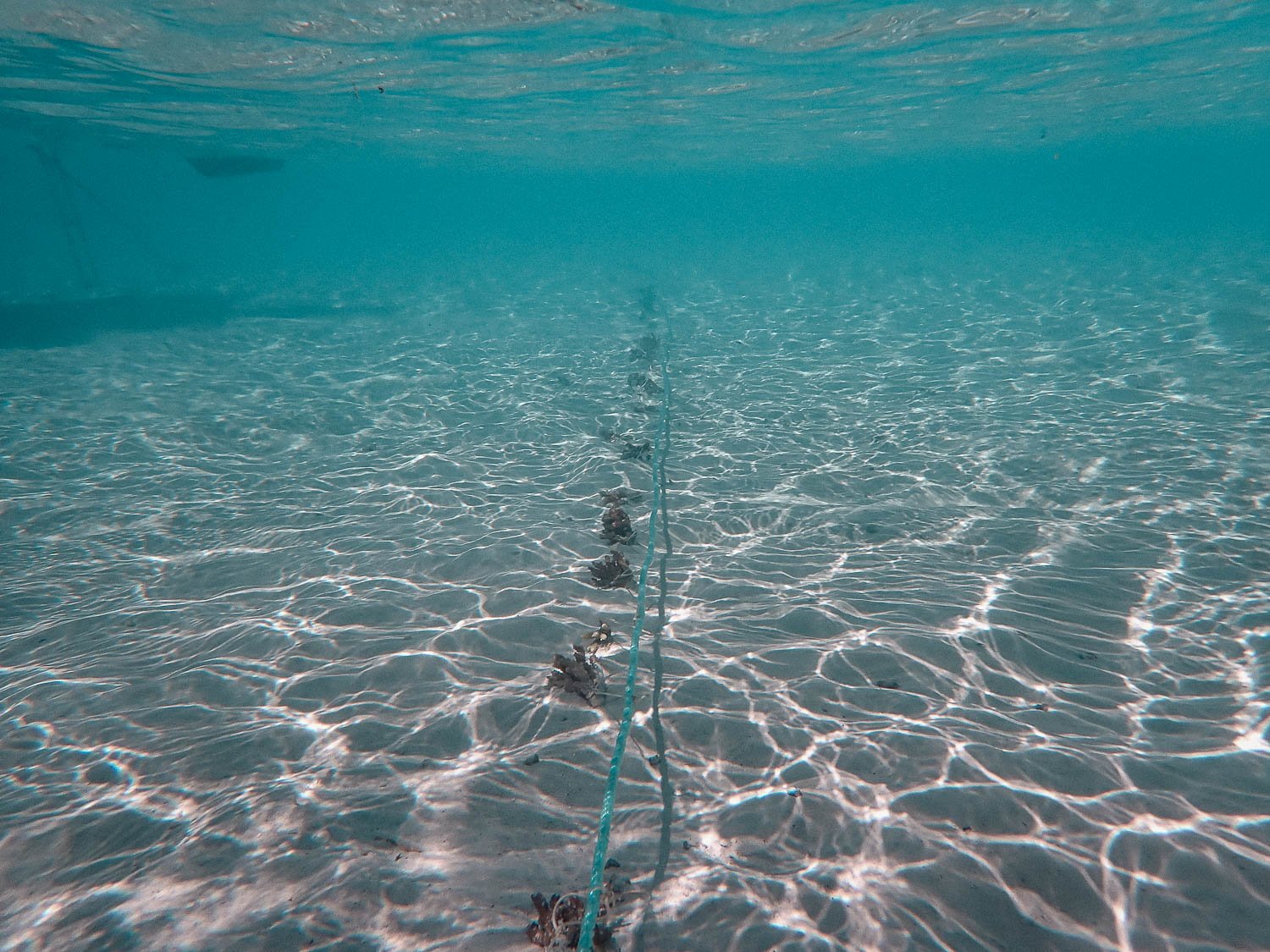 TrejoRaquel_Coral Kids_Marine Conservation_Oceania-58.jpg