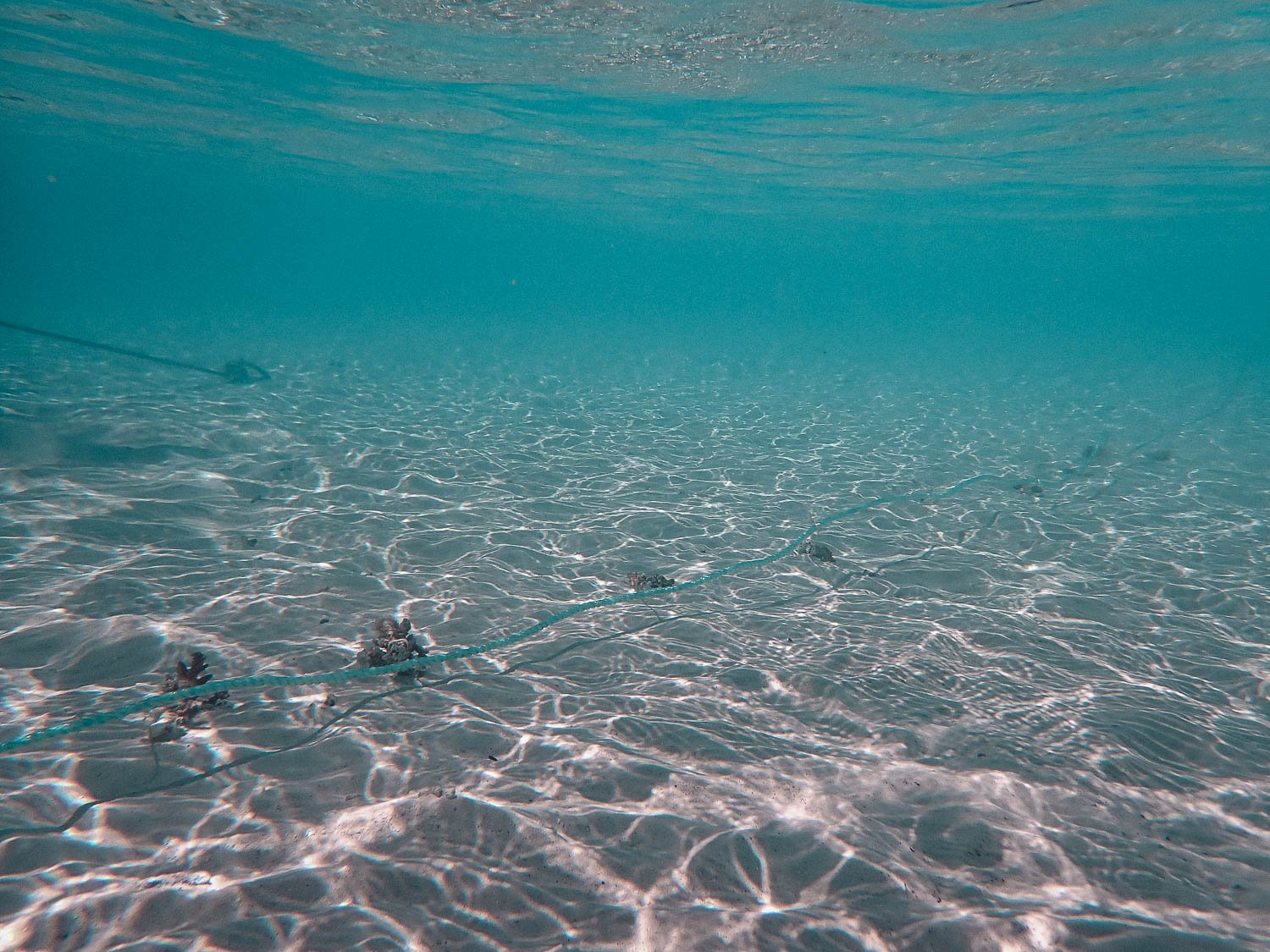 TrejoRaquel_Coral Kids_Marine Conservation_Oceania-57.jpg