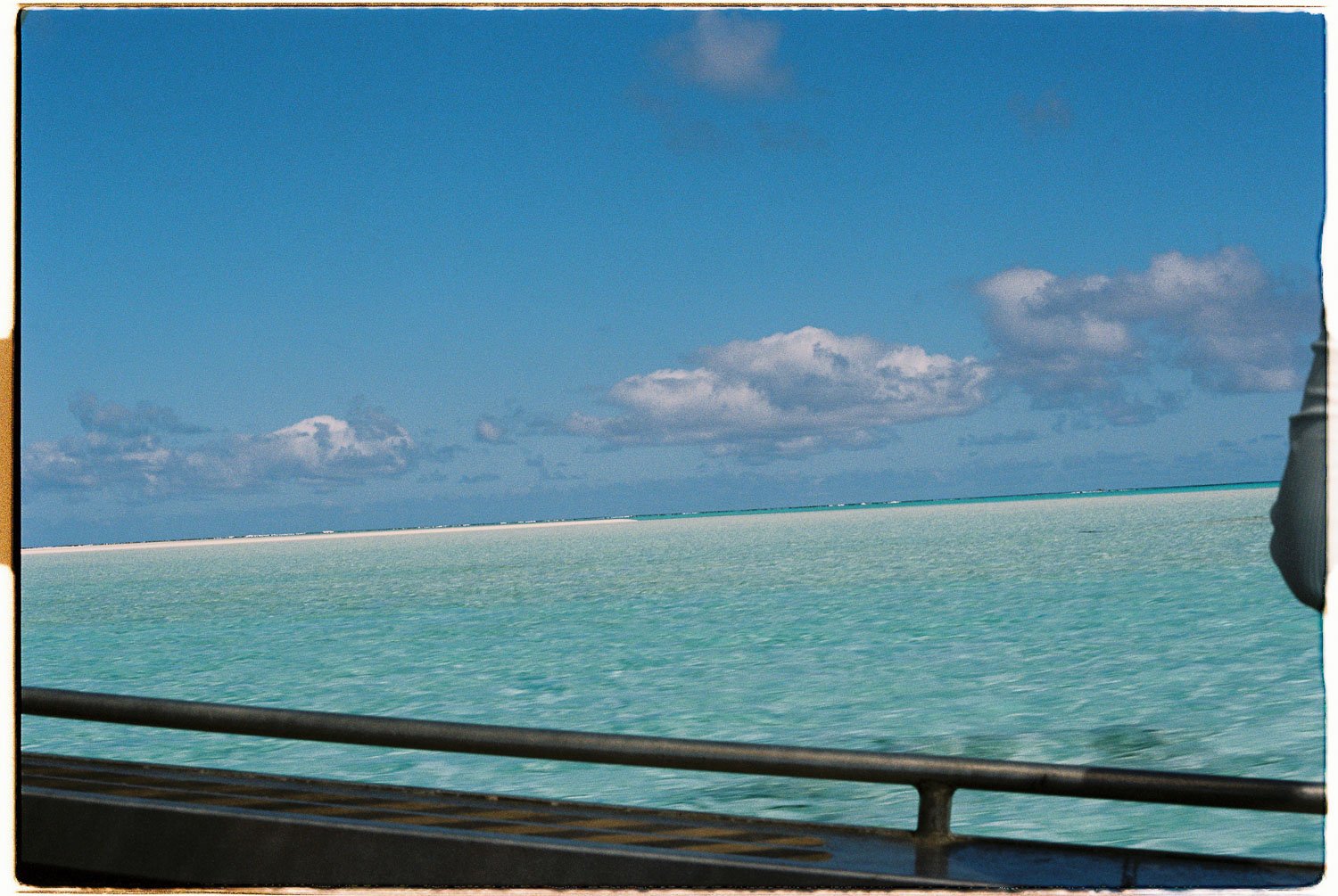 TrejoRaquel_Coral Kids_Marine Conservation_Oceania-15-2.jpg