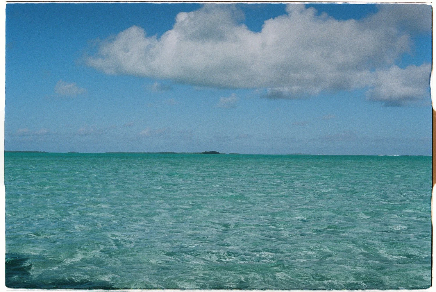 TrejoRaquel_Coral Kids_Marine Conservation_Oceania-29.jpg