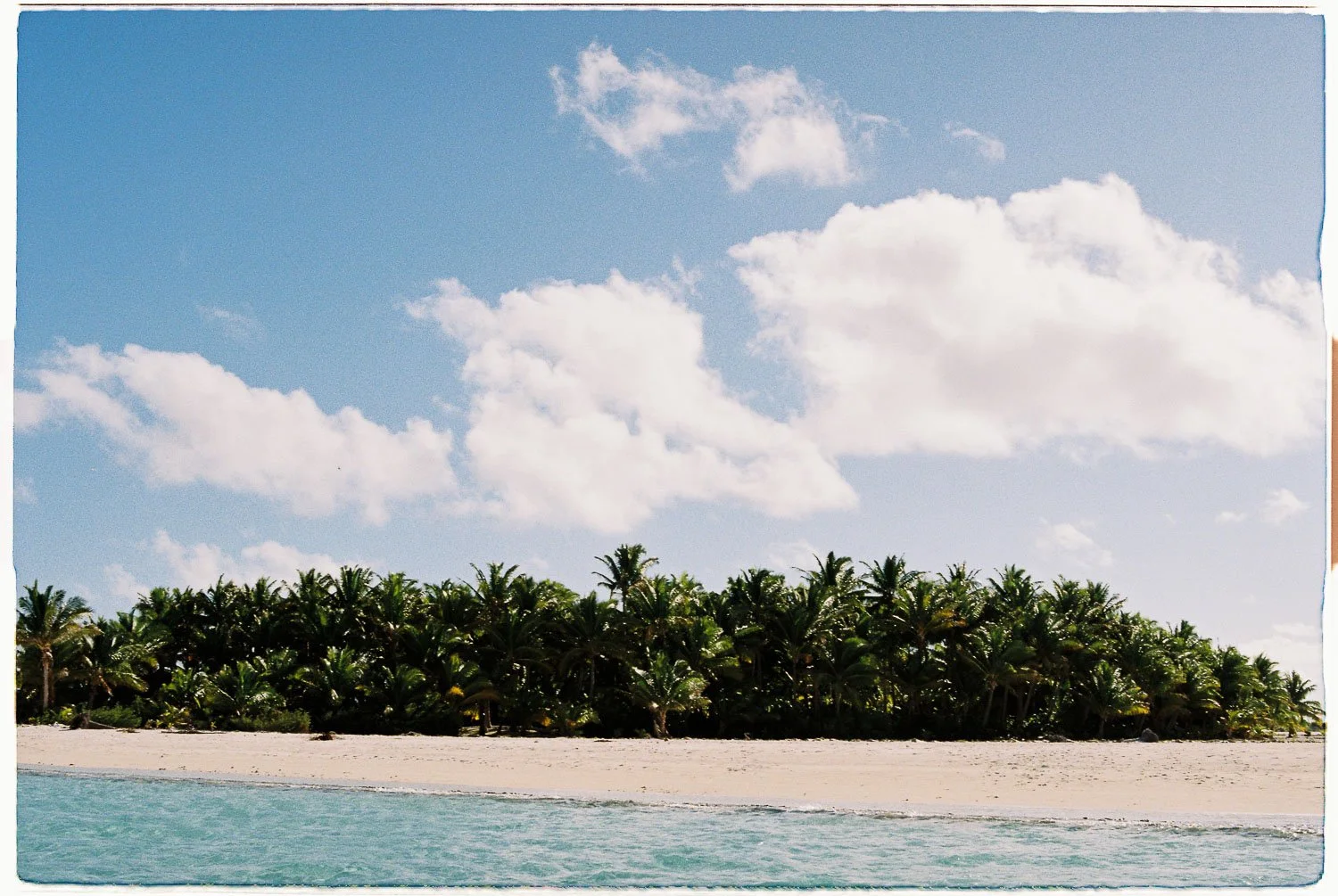 TrejoRaquel_Coral Kids_Marine Conservation_Oceania-30.jpg