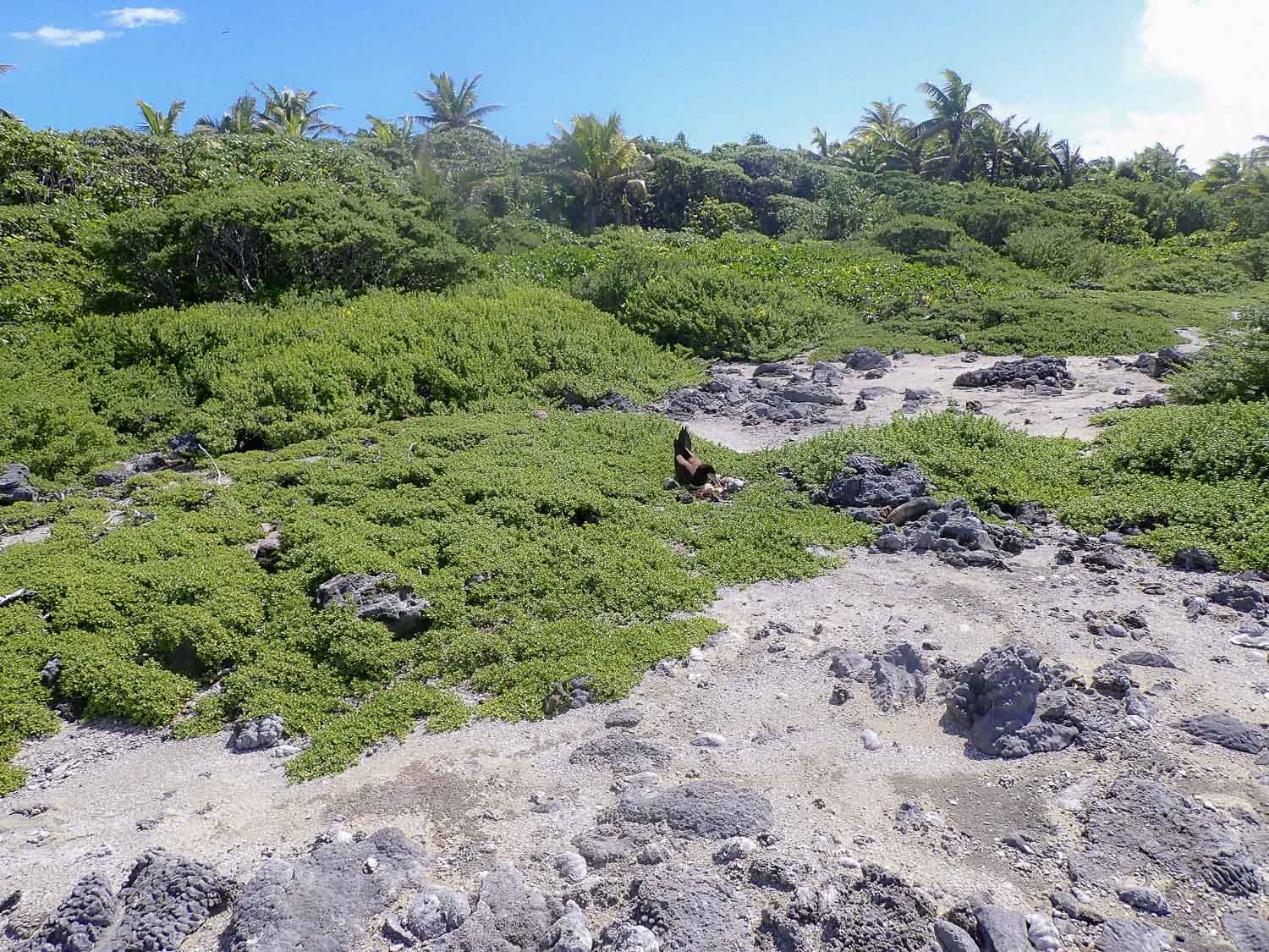 TrejoRaquel_Coral Kids_Marine Conservation_Oceania-116.jpg