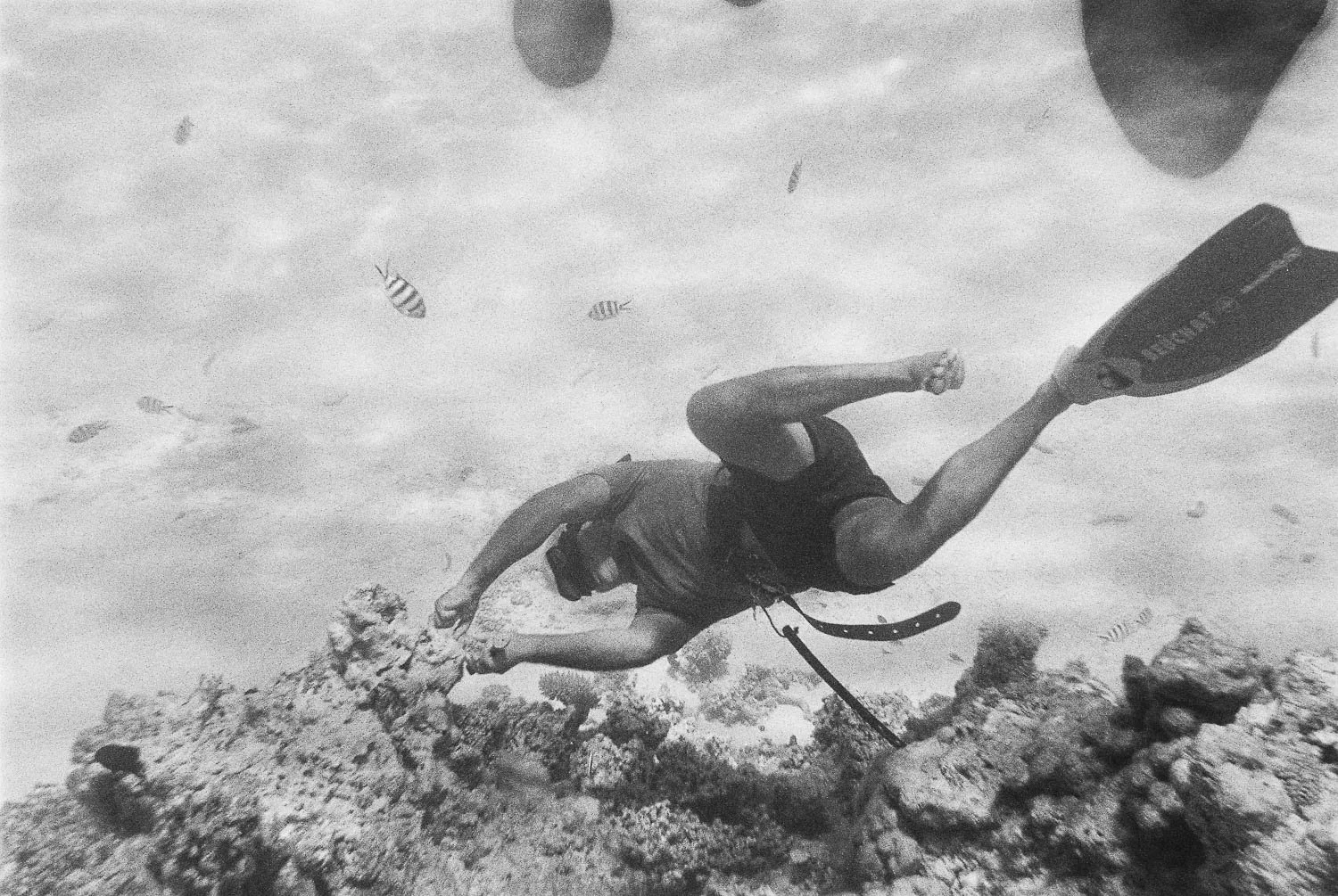 TrejoRaquel_Coral Kids_Marine Conservation_Oceania-13-2.jpg