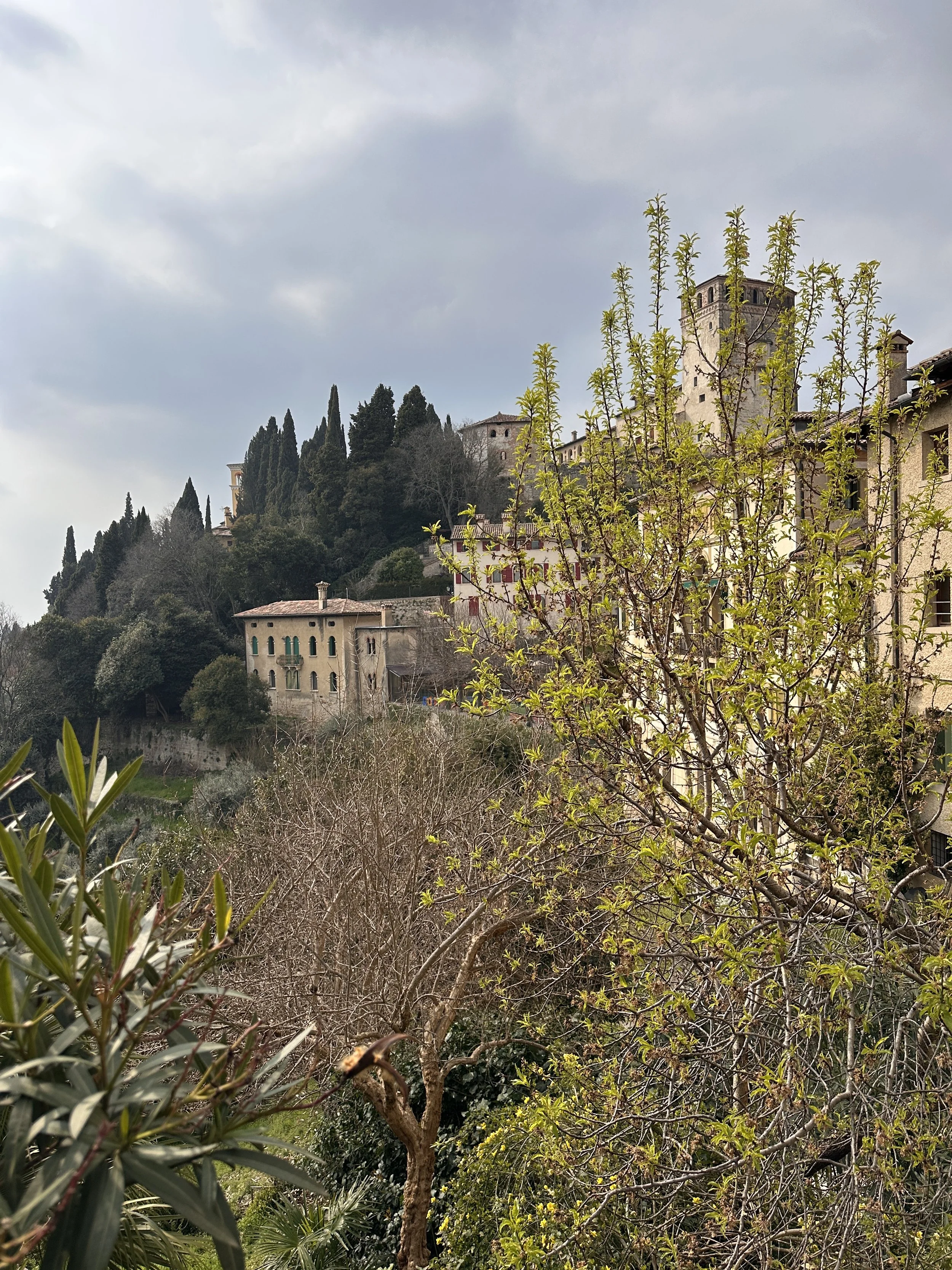 IMG_4888.JPG