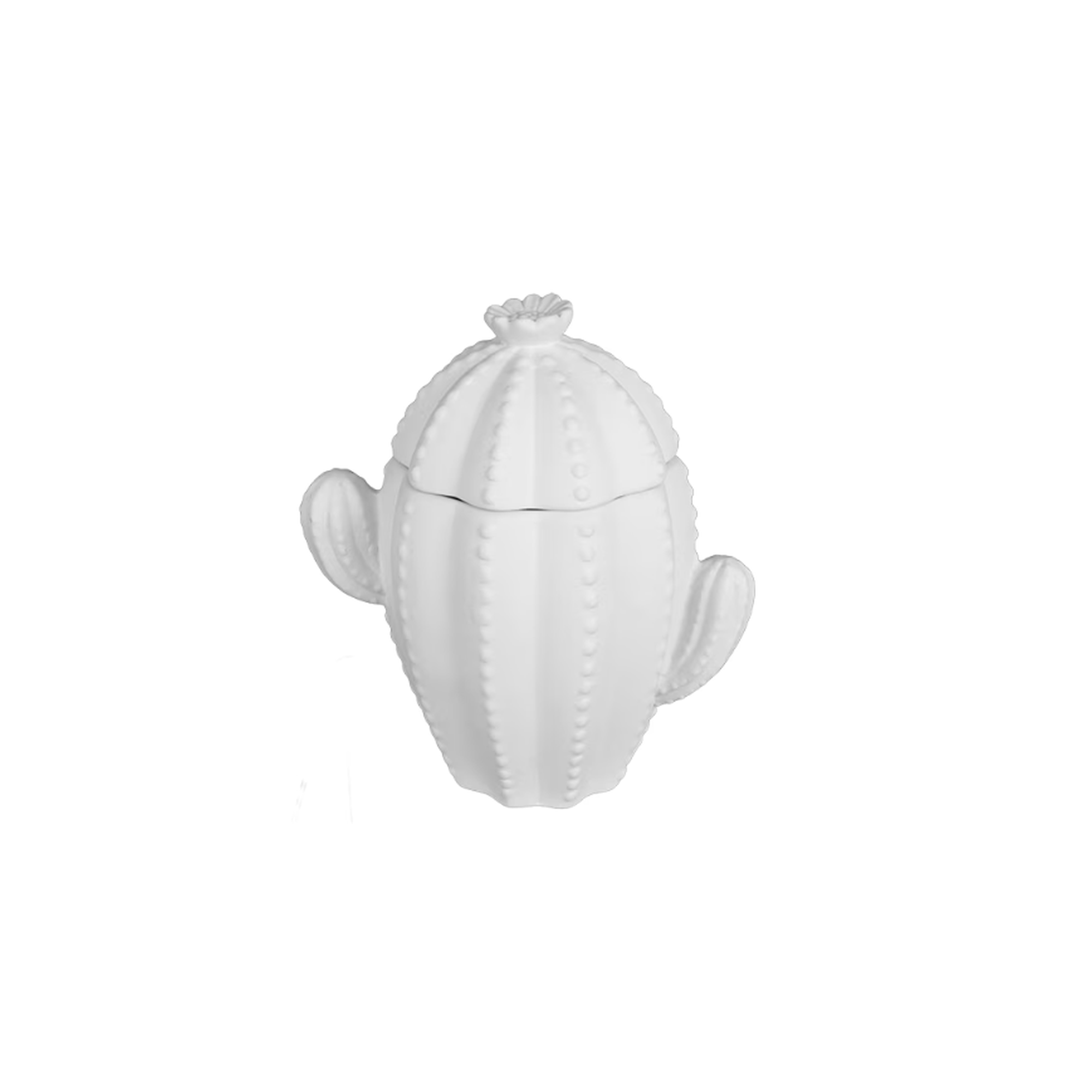 Cactus_Jar_2000x2000.png