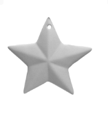 Stellar Star Ornament – Take-Home Kit