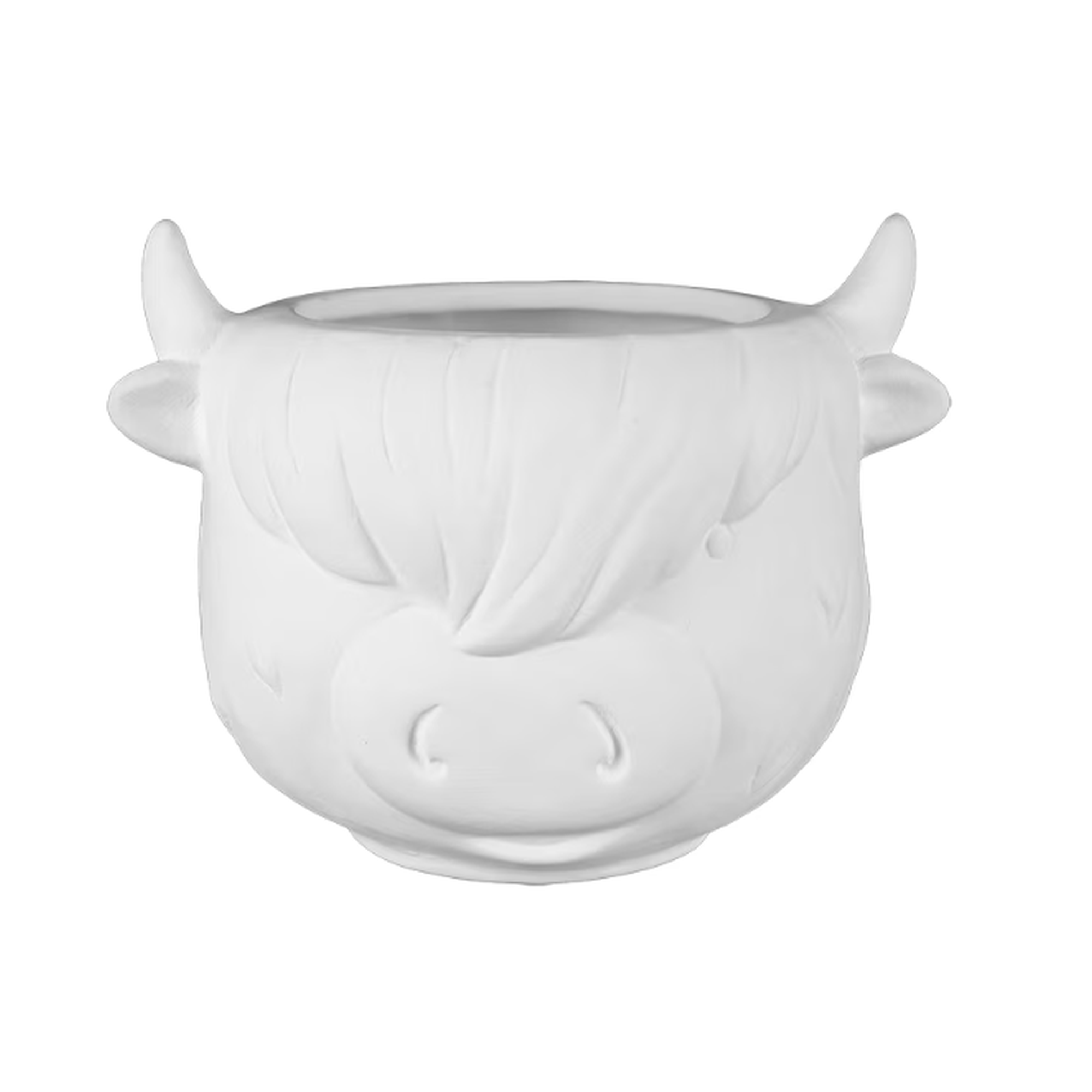 Highland Cow Container