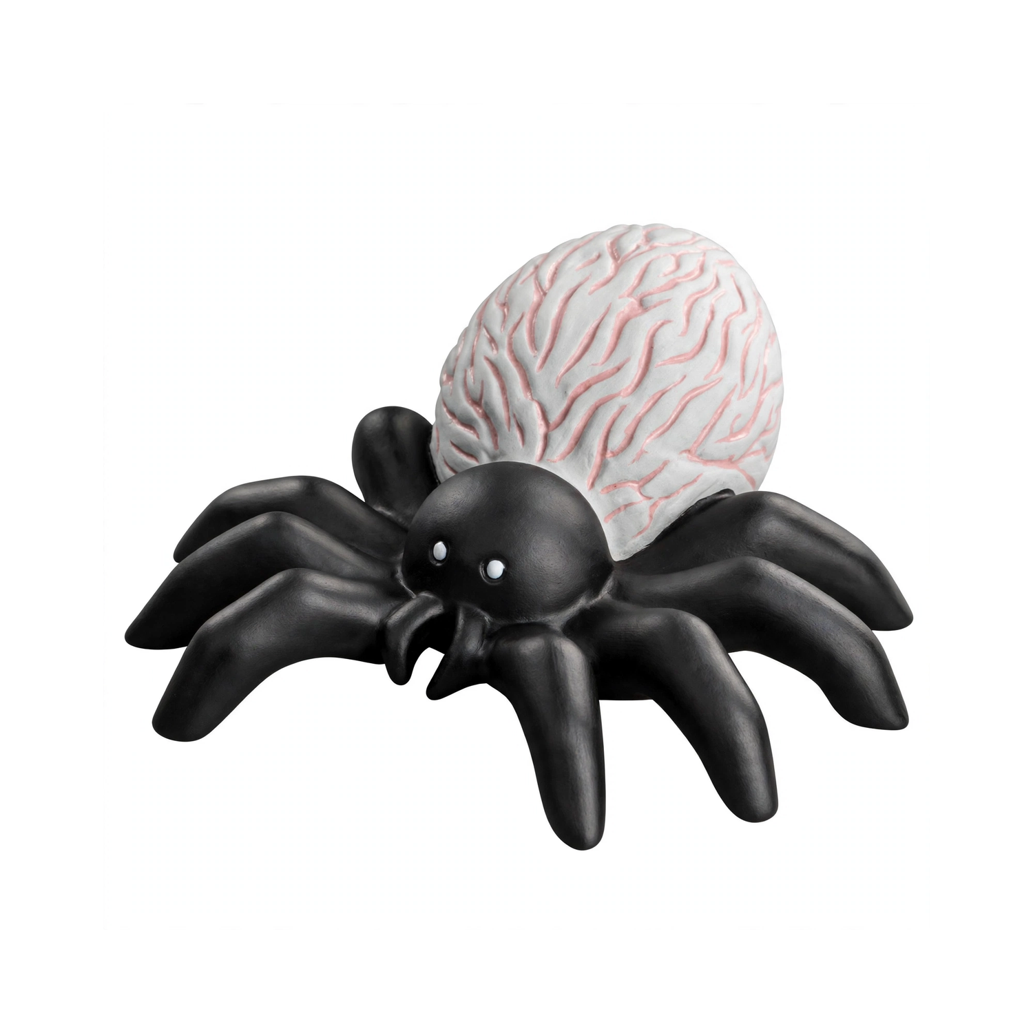 spider_squarespace_1500.png