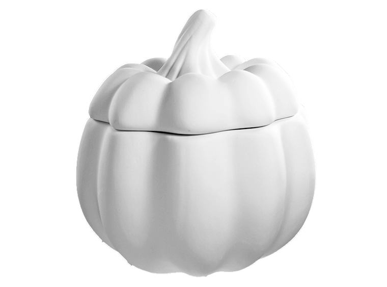 Pumpkin Container