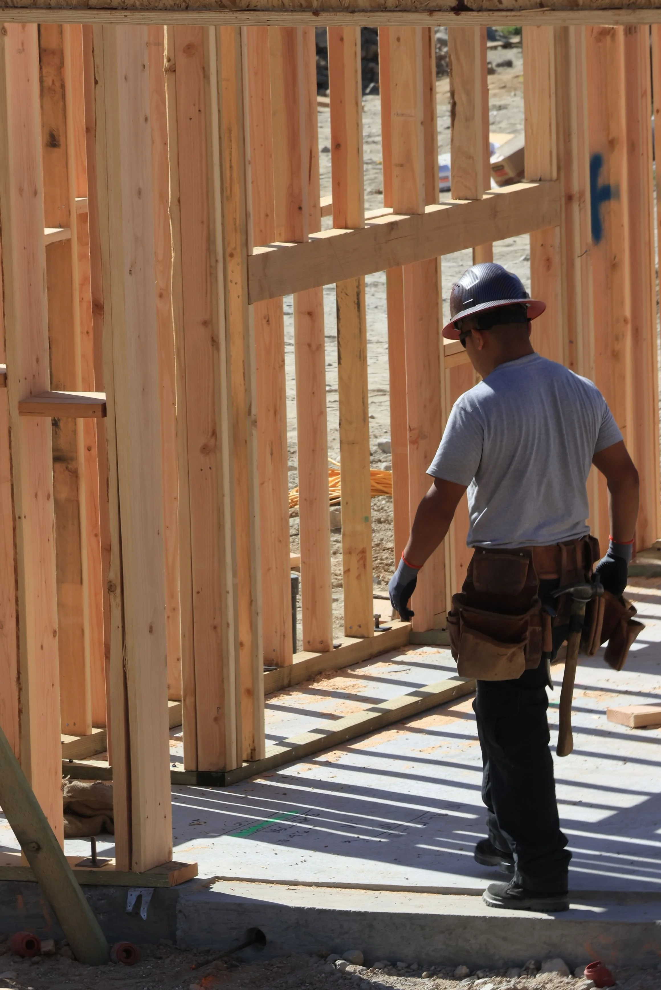 A construction worker wearing a hard hat, gray t-shirt, and utility belt is working on framing a building with vertical wooden studs. The worker is facing away, inspecting the wooden structure on a concrete foundation.
