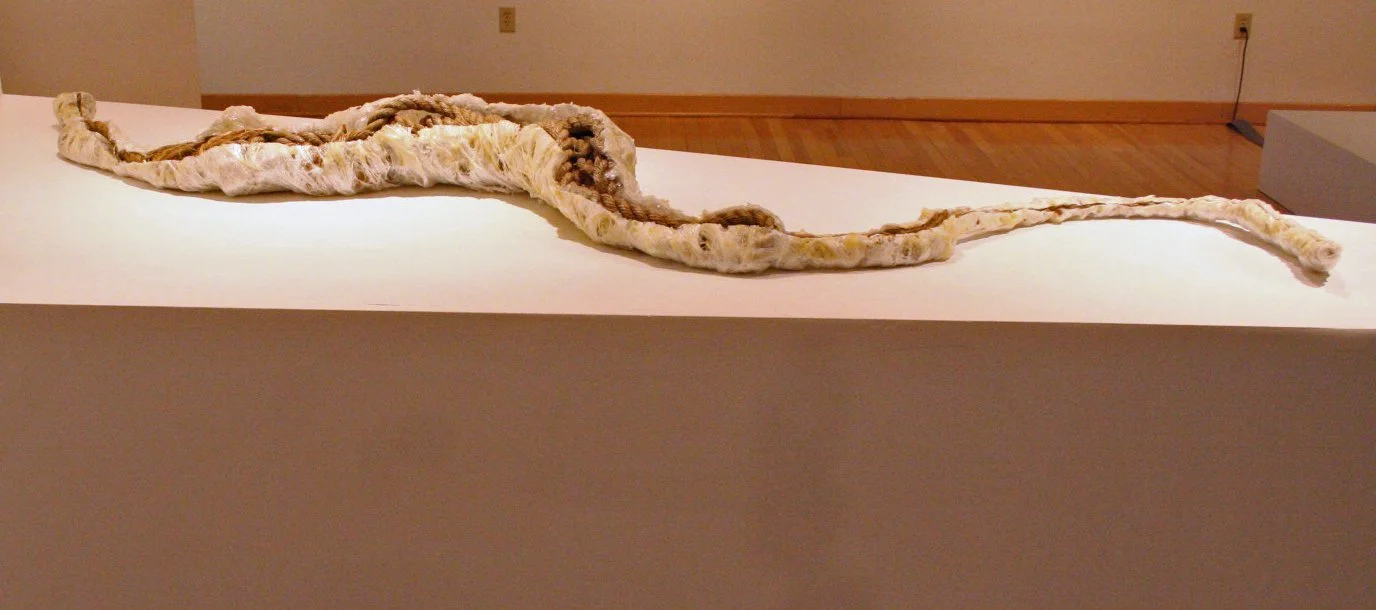 Dirge for Eva Hesse-Laocoön.JPG