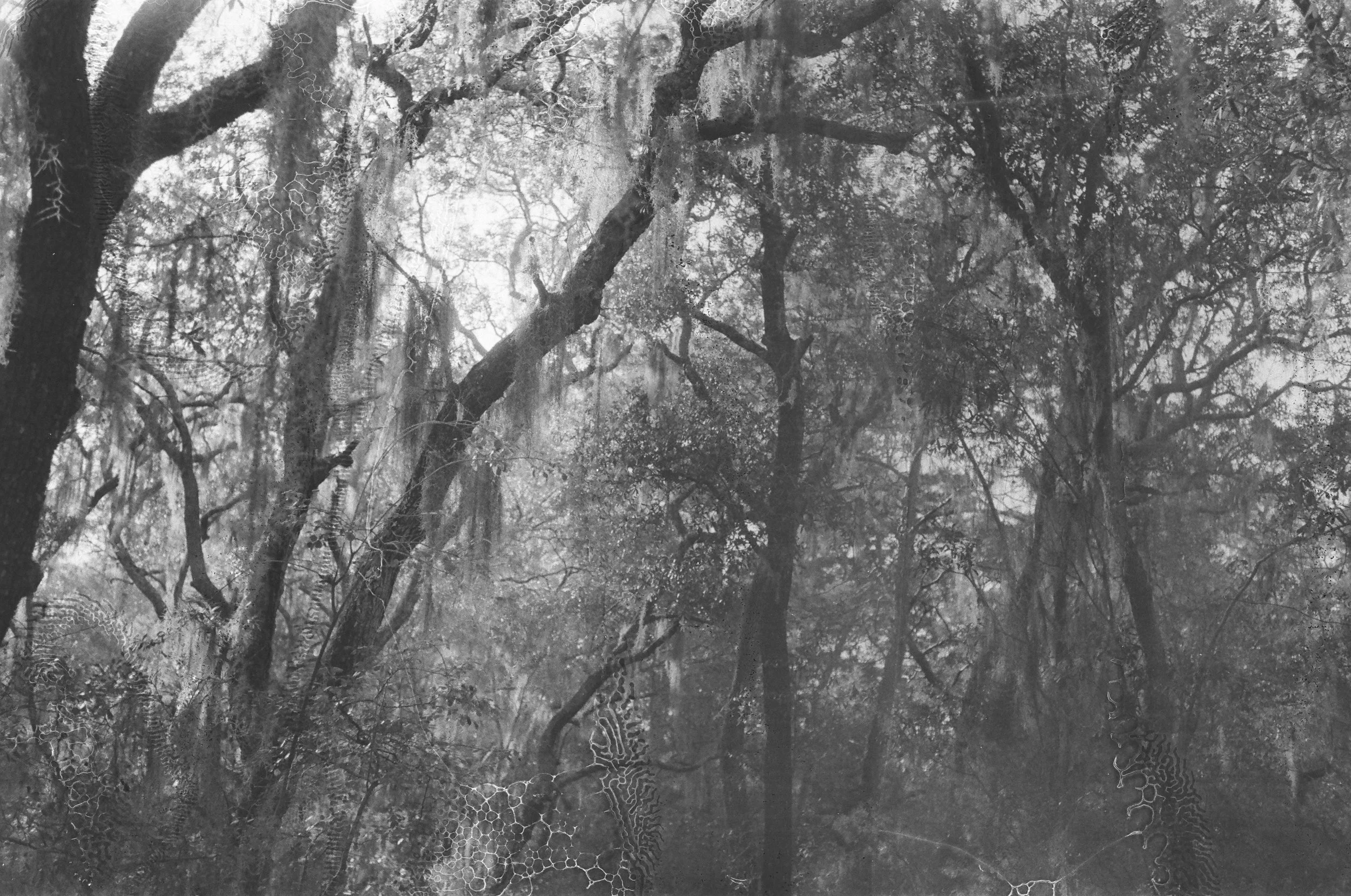 Florida Haunting