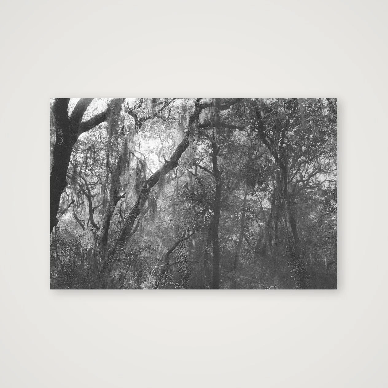 Florida Haunting