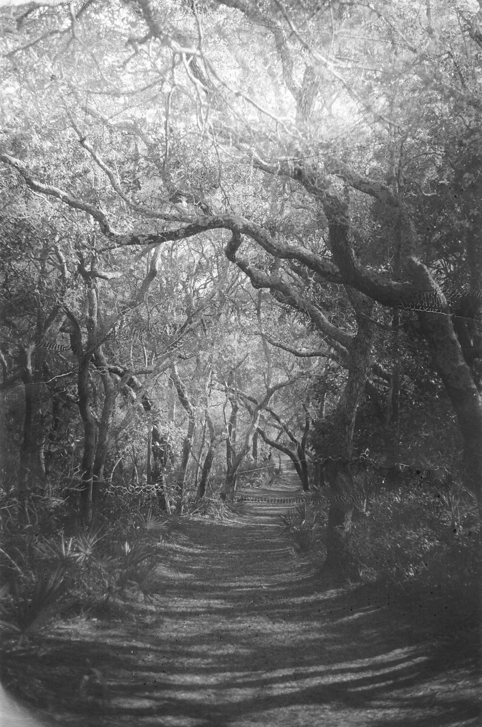 A Hallowed Path