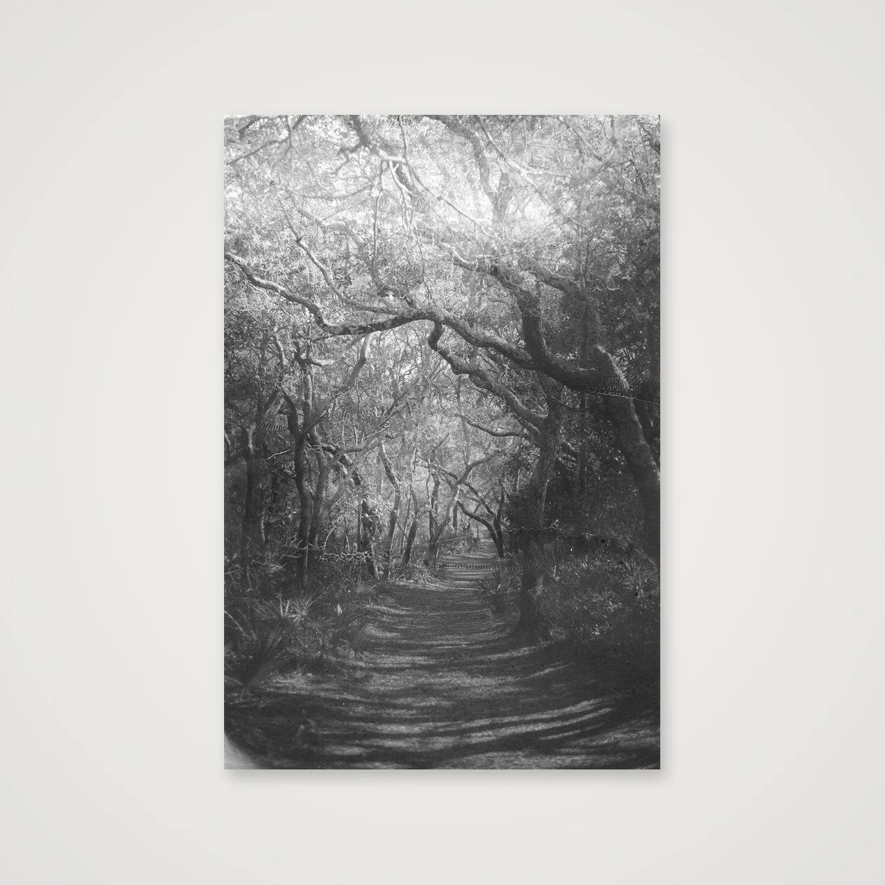 A Hallowed Path