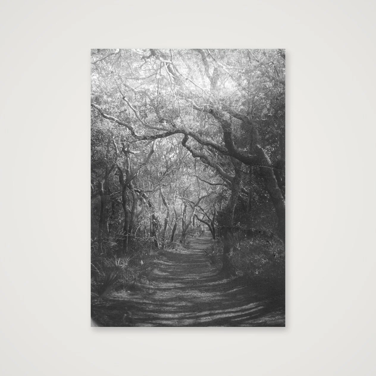A Hallowed Path