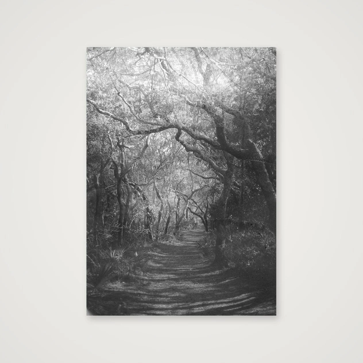 A Hallowed Path