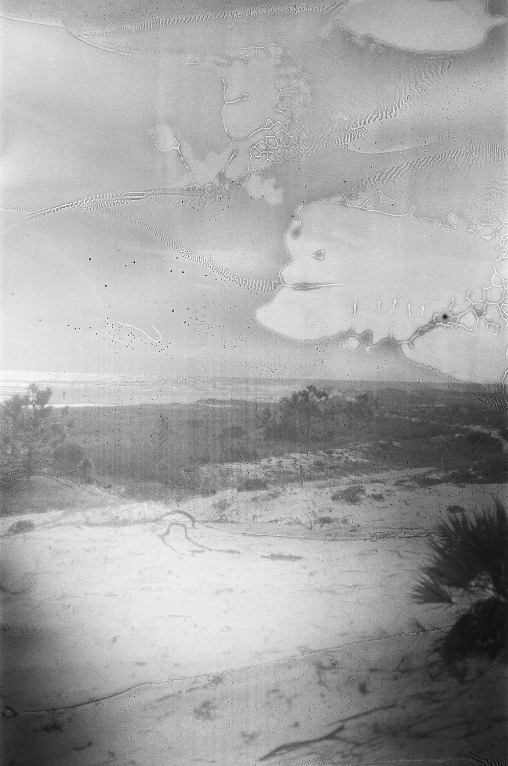 Weathered Beach