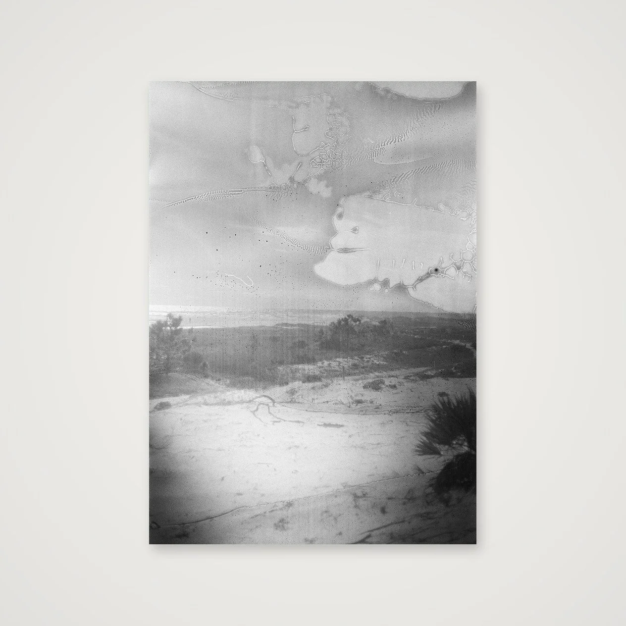 Weathered Beach