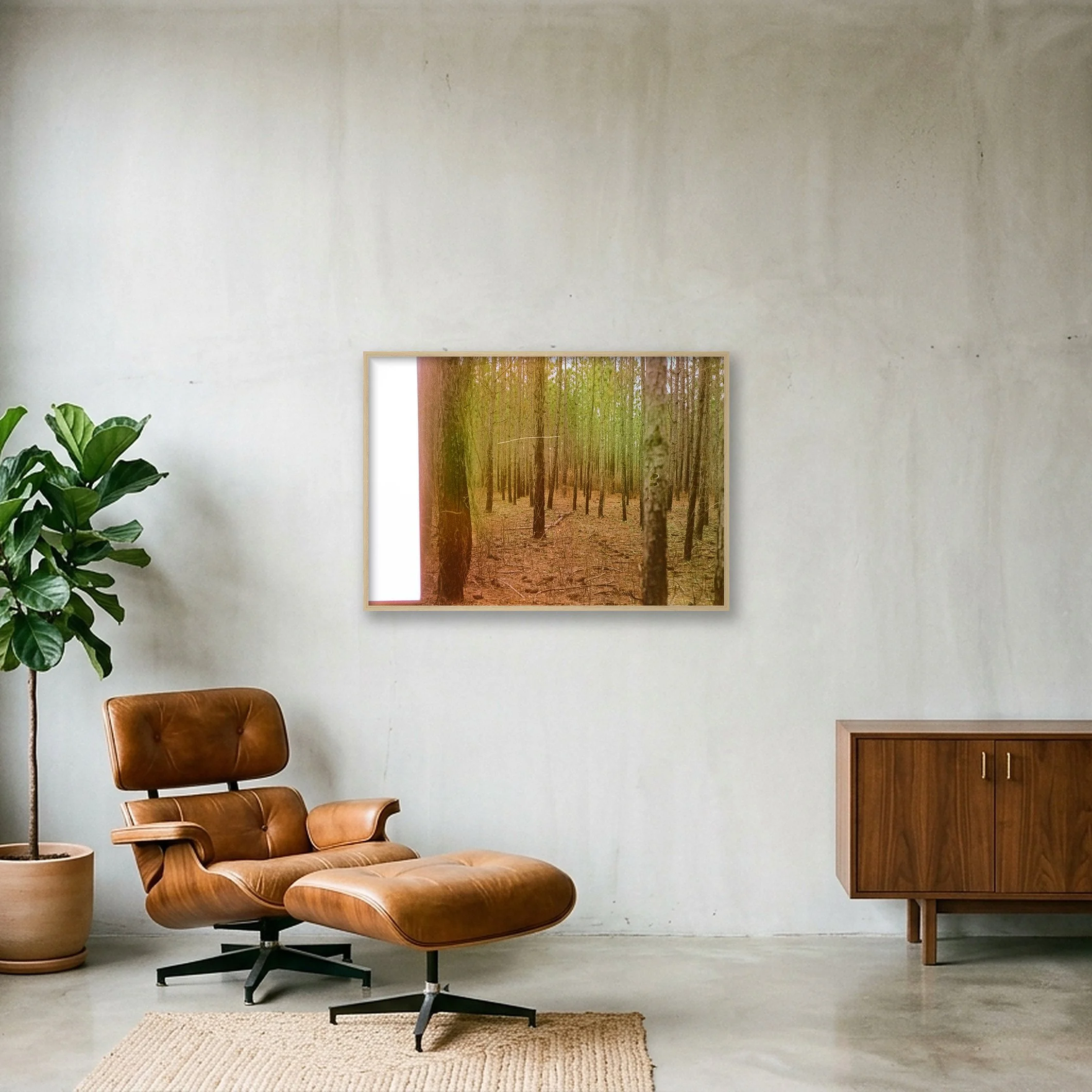 shot_wall_c88938fd_31a14636.jpg