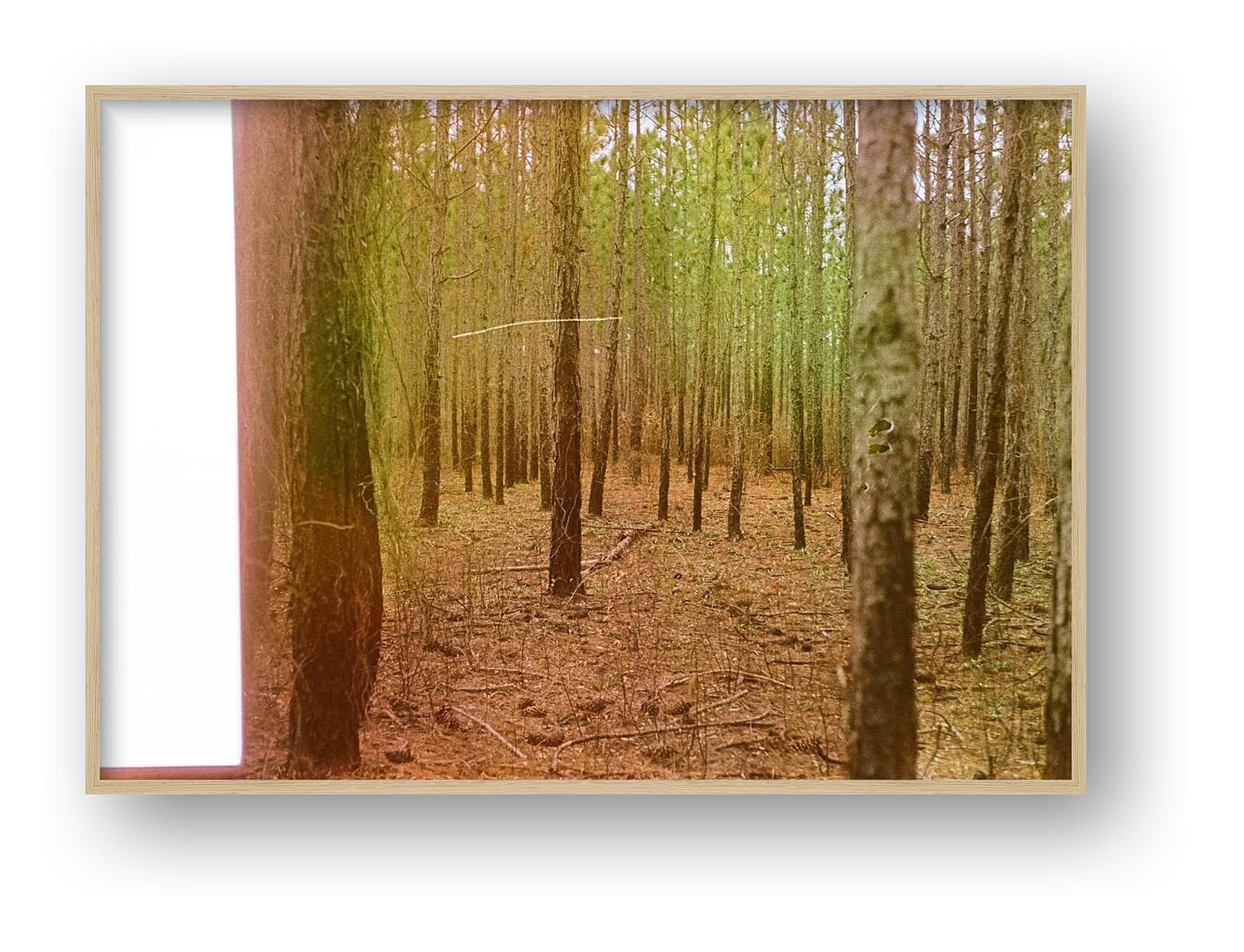 preview_c88938fd_41c86716.jpg