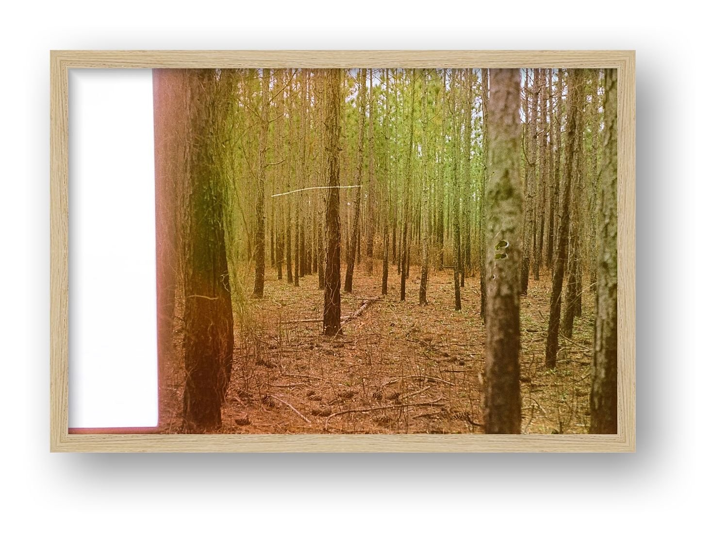 preview_0ef75a00_e5fac825.jpg