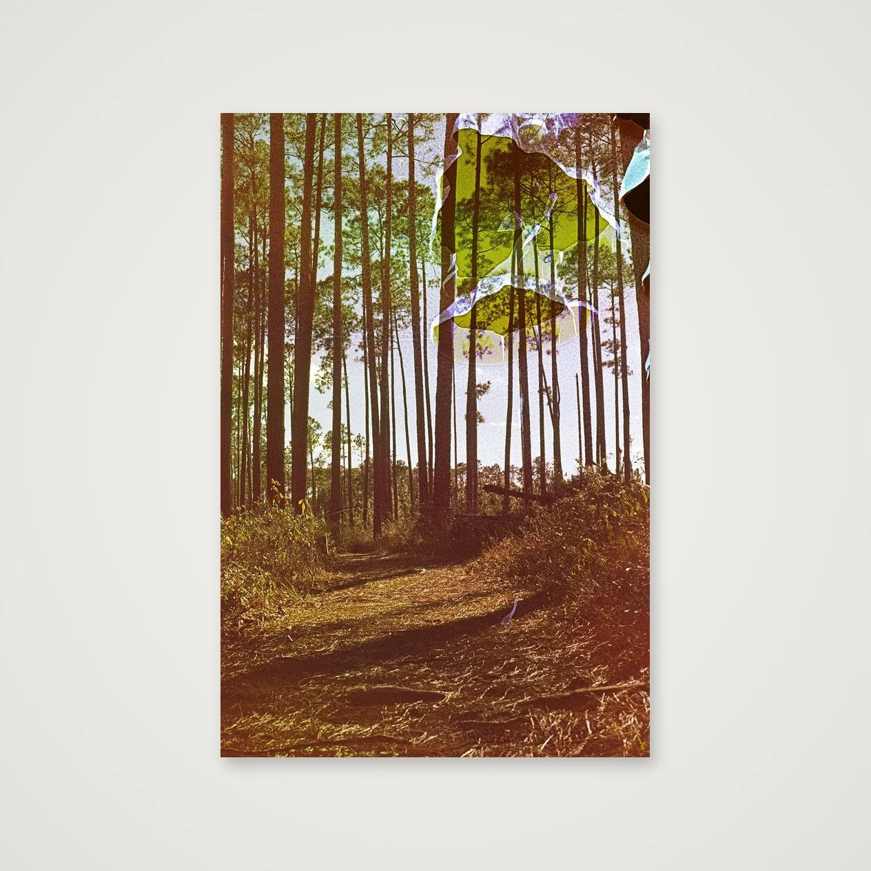 shot_table_8eeb0c3d_a8ff5b51.jpg