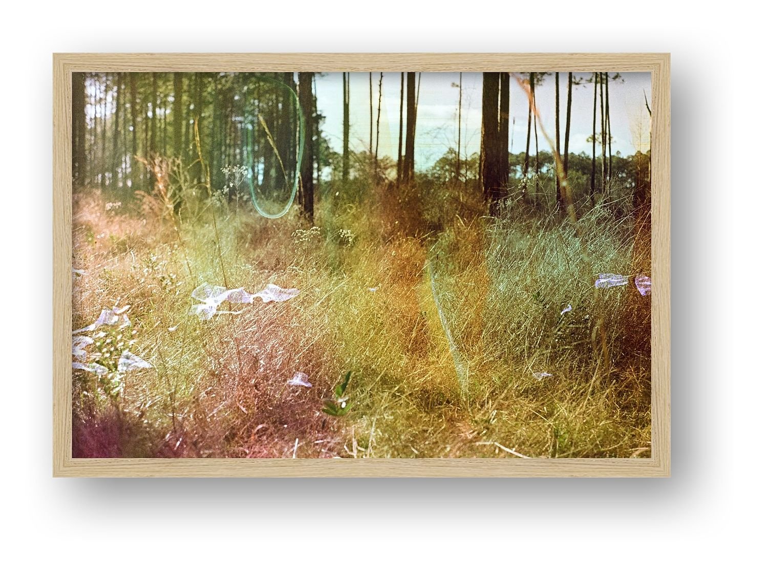 preview_92bcc62b_645e2e62.jpg