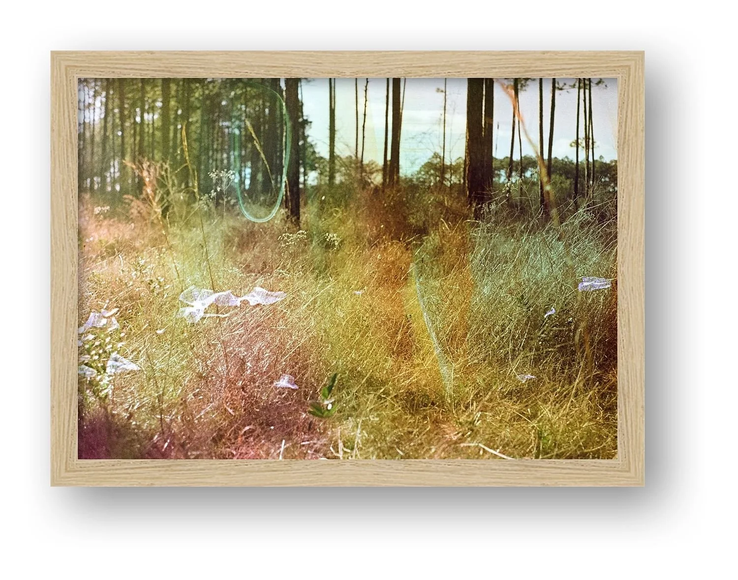 preview_39ca1016_8ddd0f39.jpg