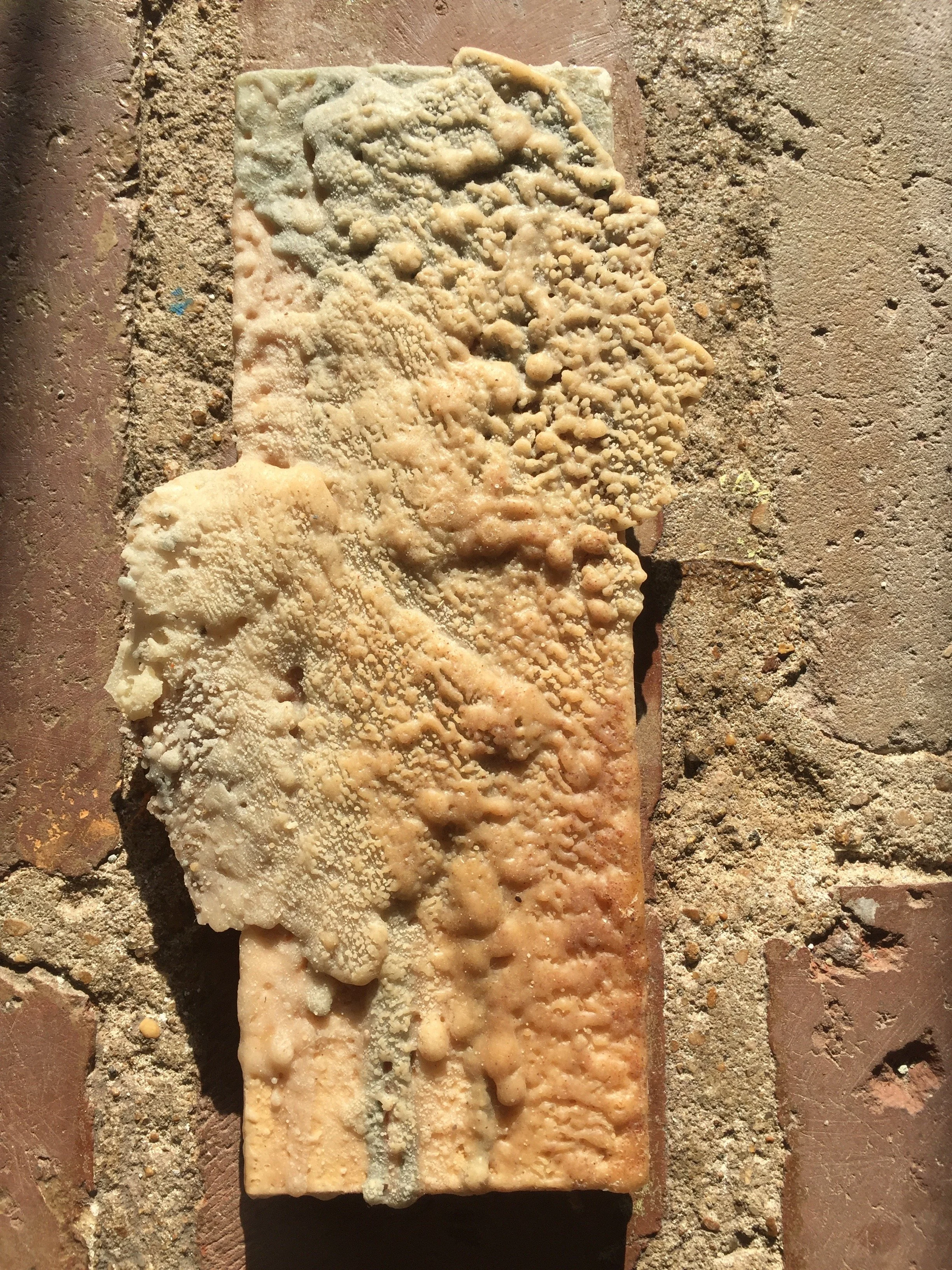 Untitled 3.jpg