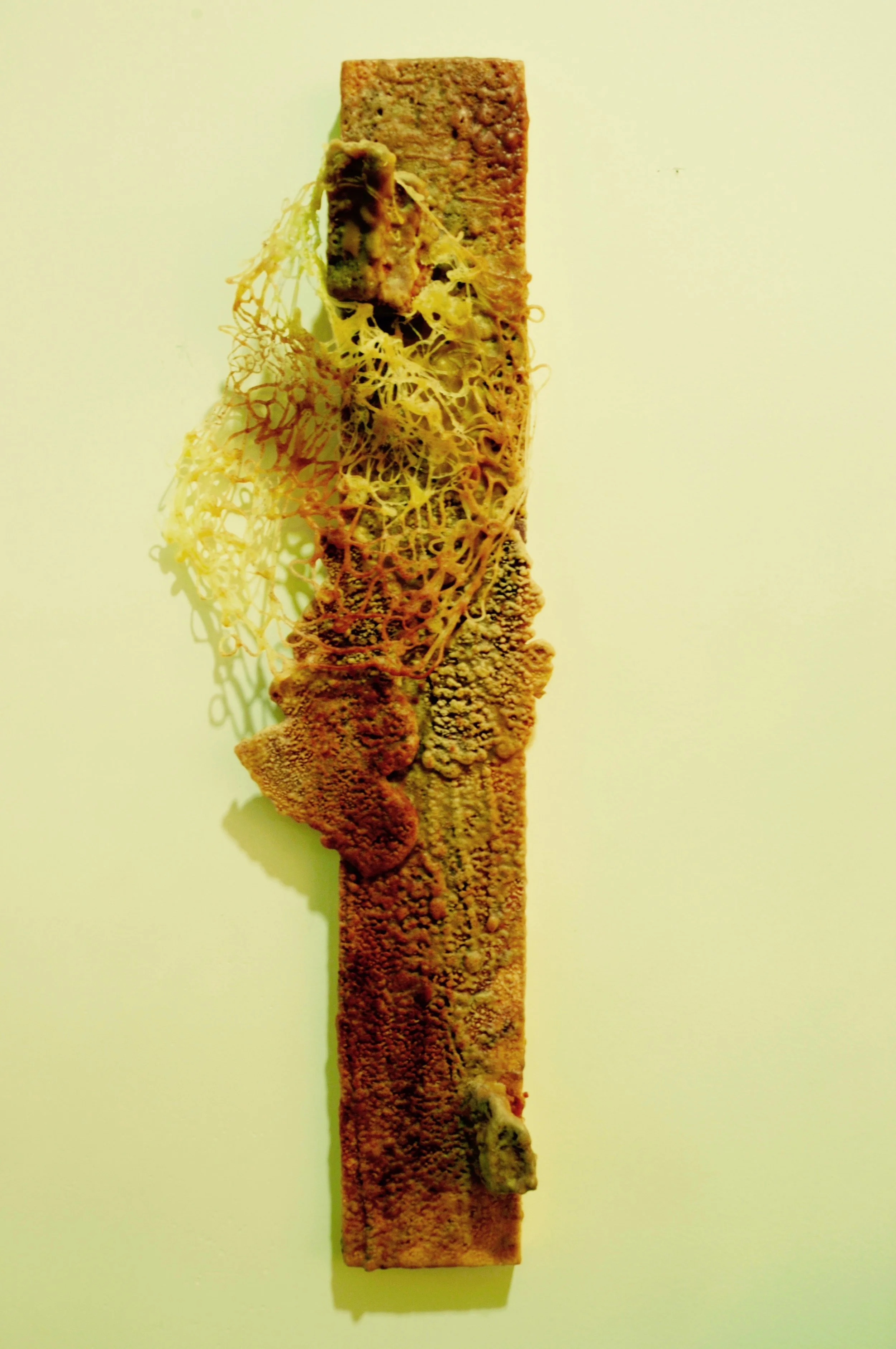Untitled 6.jpg