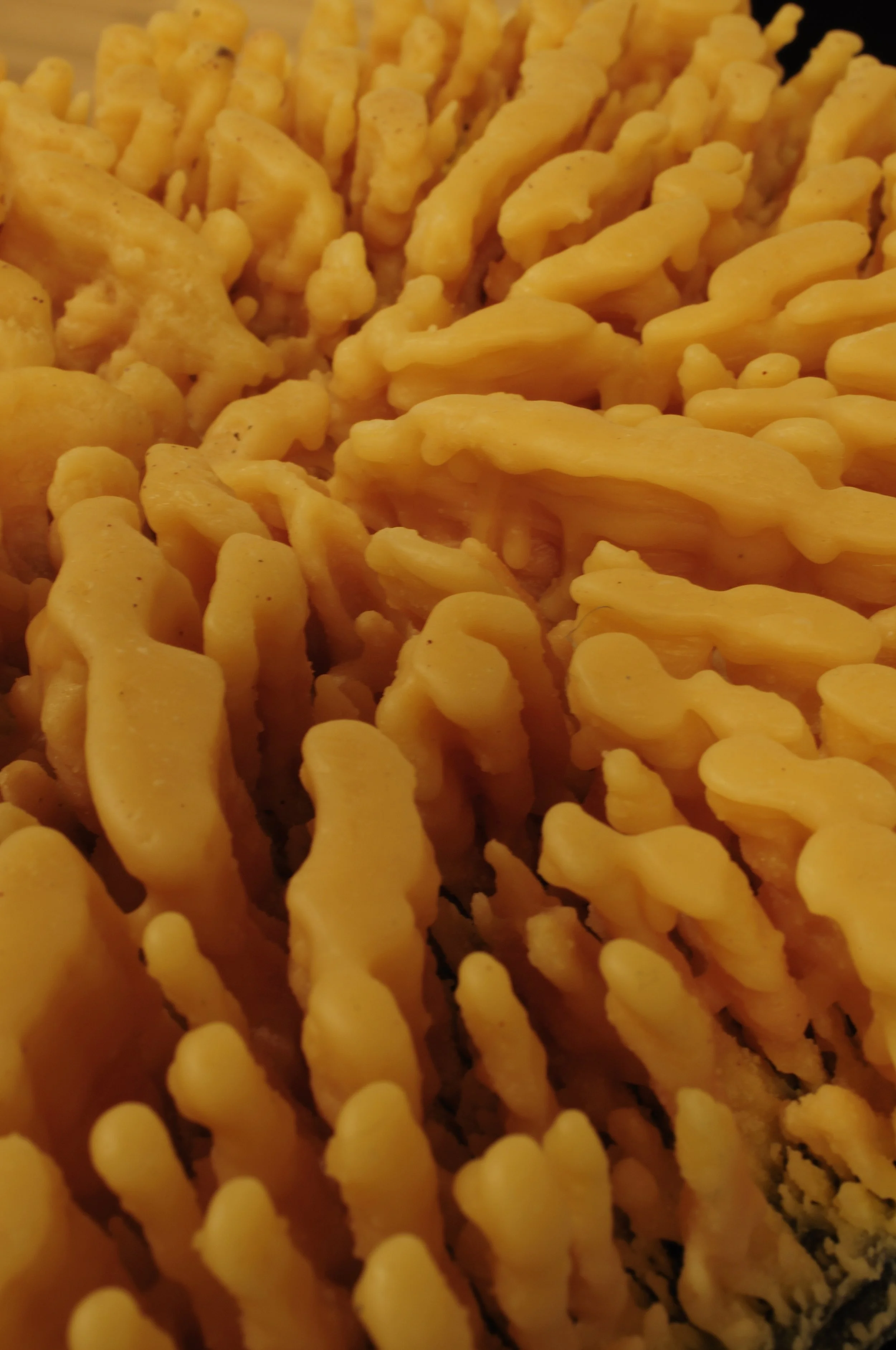 Sojourners (Detail).JPG