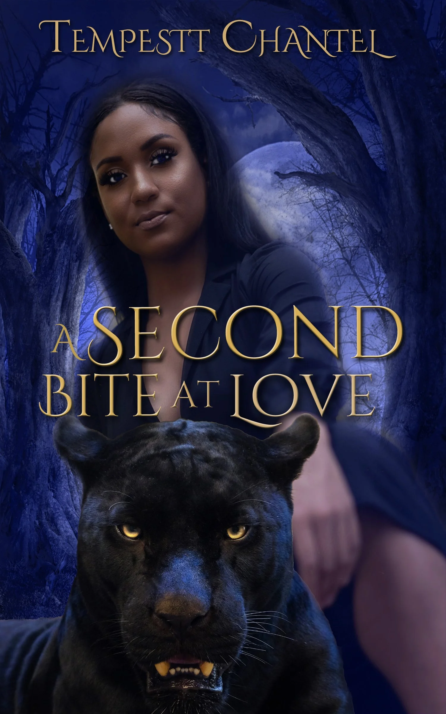 New Release Spotlight - A Second Bite at Love (Unconventional Love Chronicles Book 1), by Tempestt Chanel